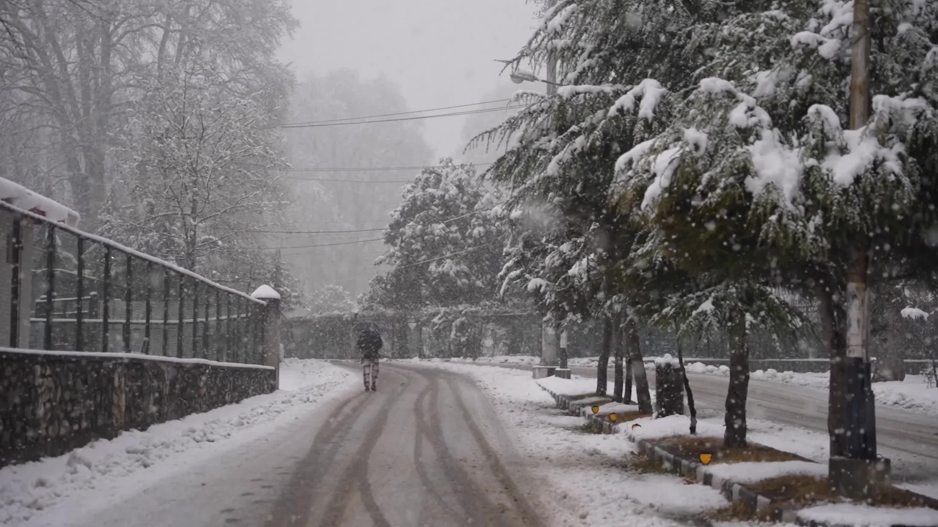 Snowfall disrupts transport across Kashmir Valley in Srinagar, India