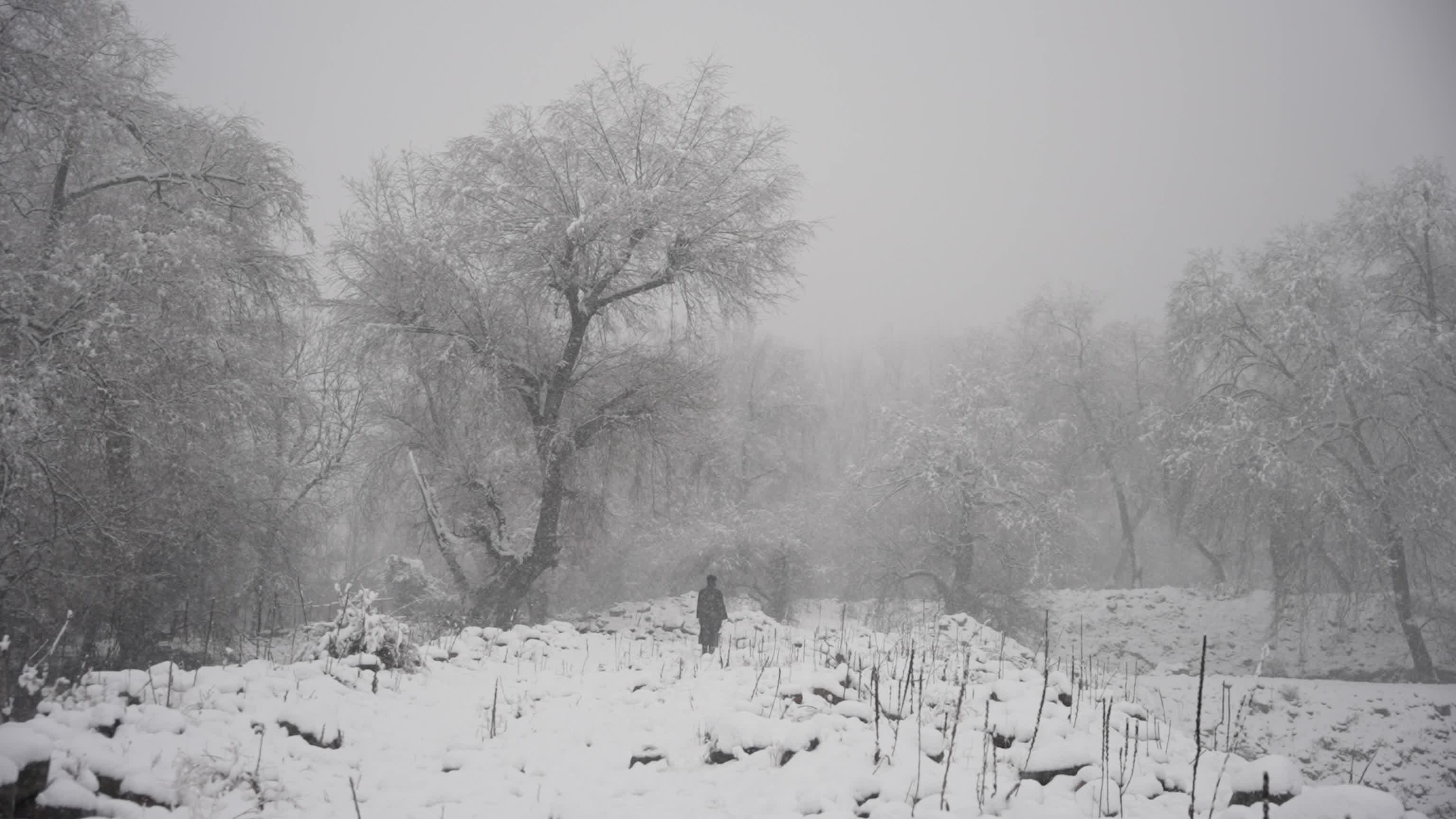 Snowfall disrupts transport across Kashmir Valley in Srinagar, India
