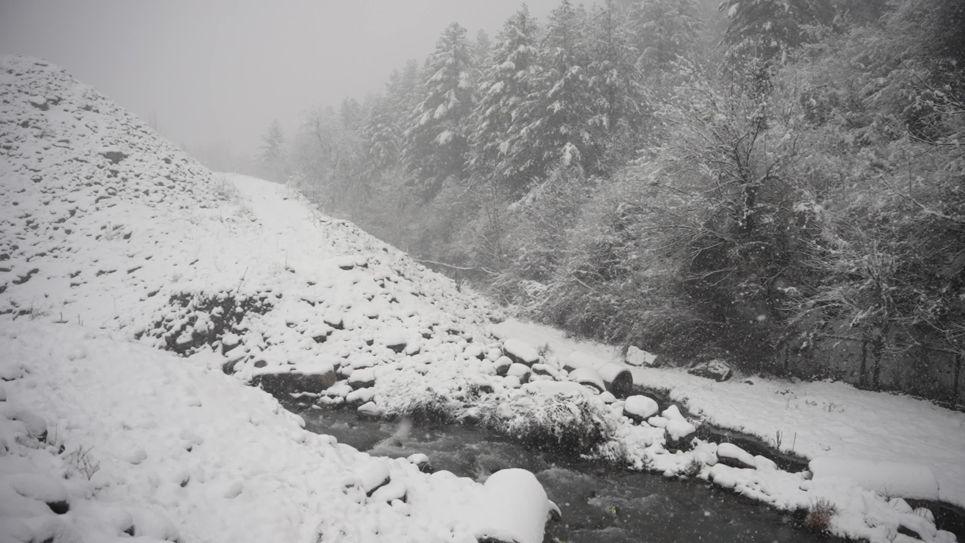 Snowfall disrupts transport across Kashmir Valley in Srinagar, India