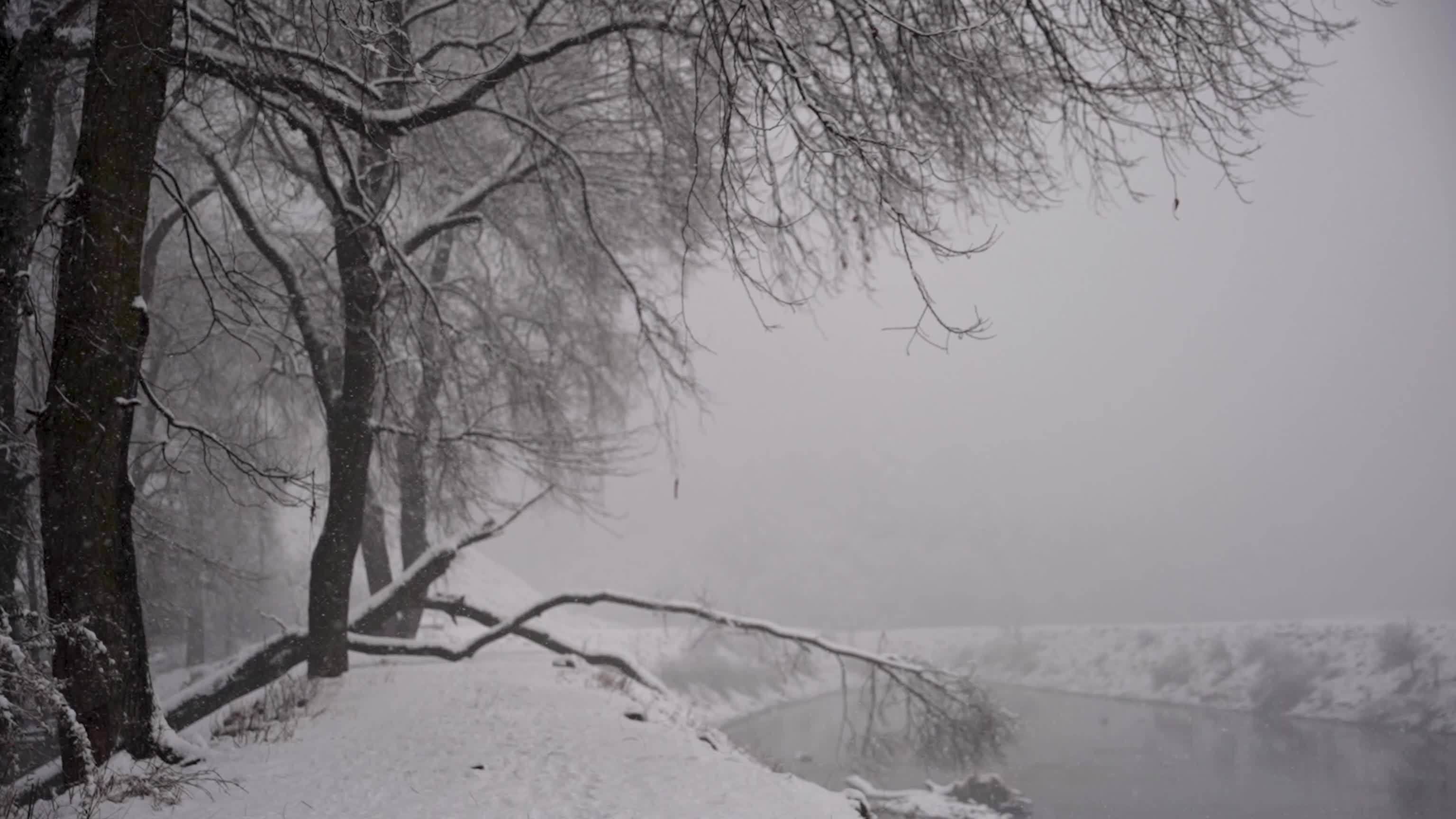 Snowfall disrupts transport across Kashmir Valley in Srinagar, India