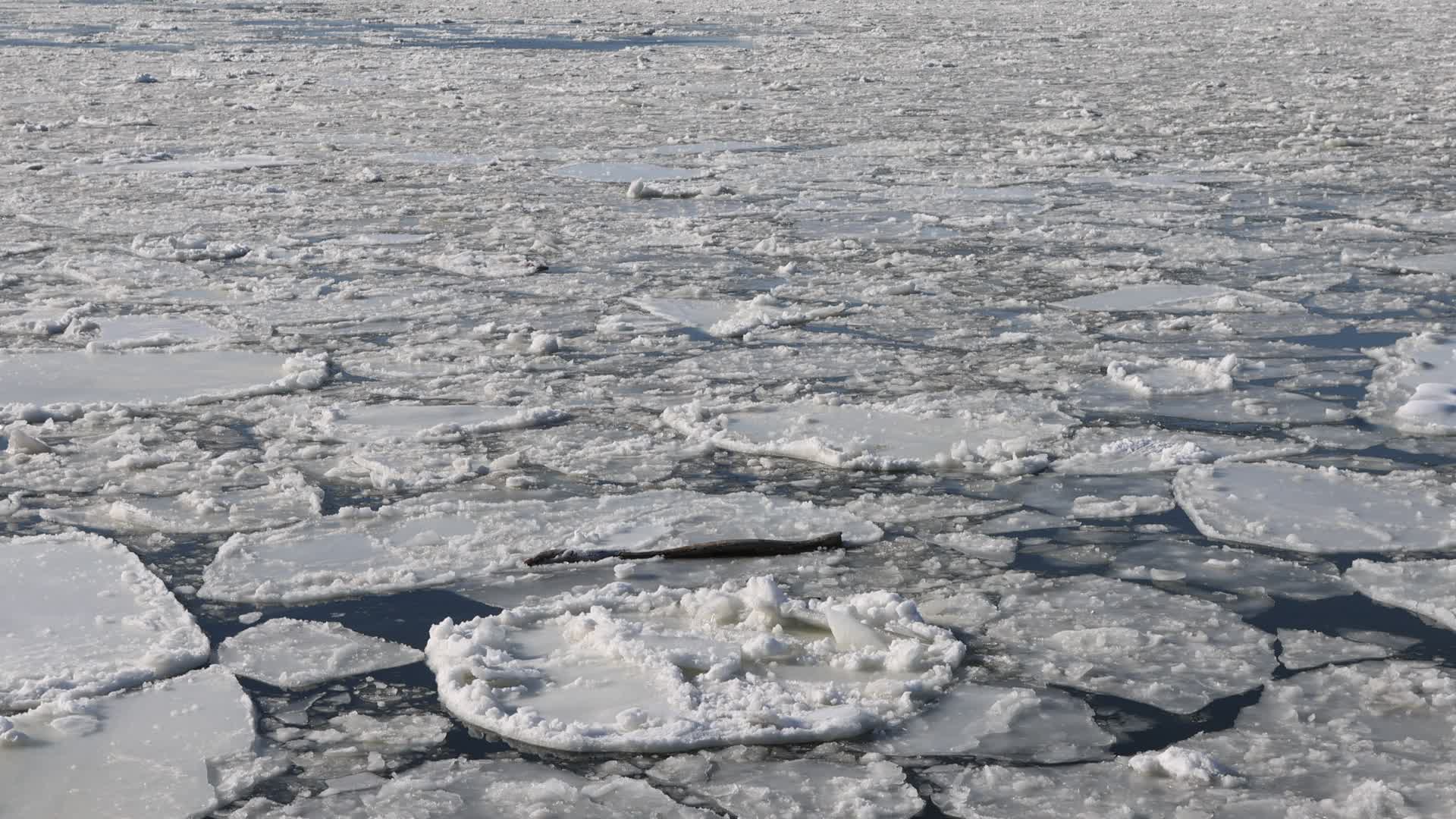 Ice Chokes Hudson River as NYC Ferry Service Suspended Amid Extreme Cold