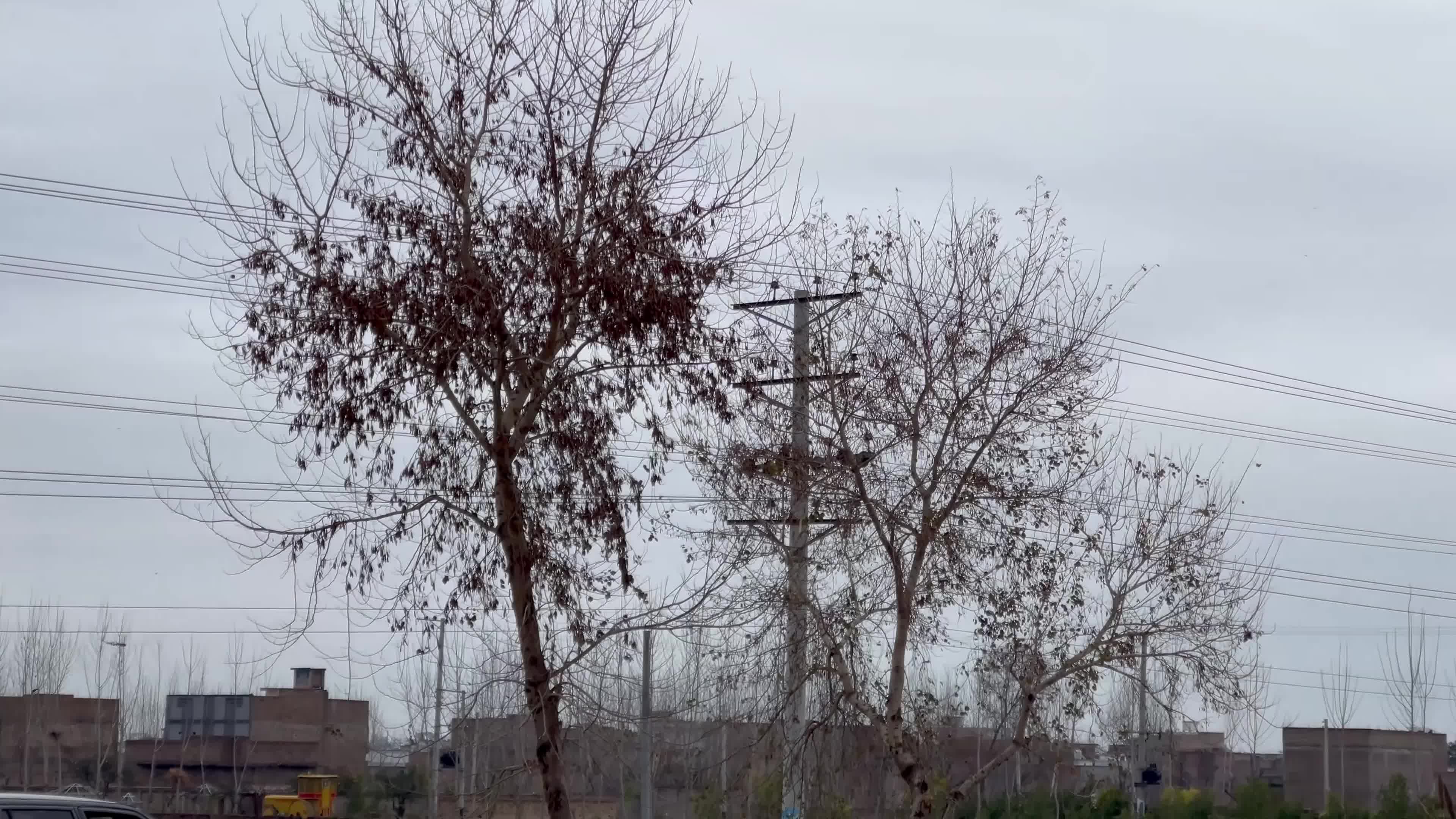 Snow-Covered Mountain Peaks Overlooking Peshawar 