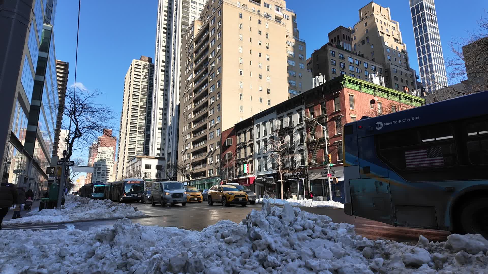 New York City Scenes