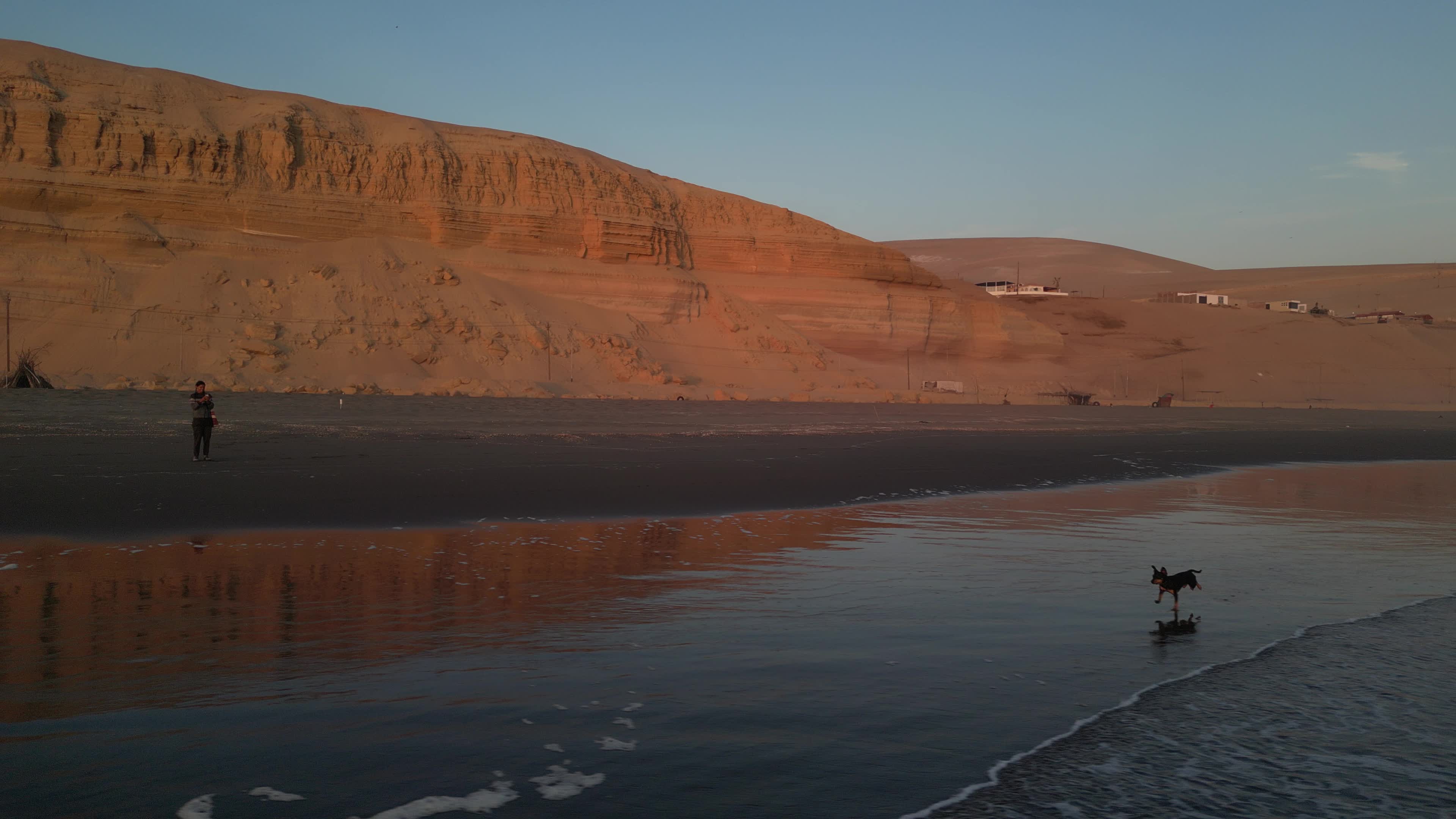 Spectacular Drone view or a dog running on the beach