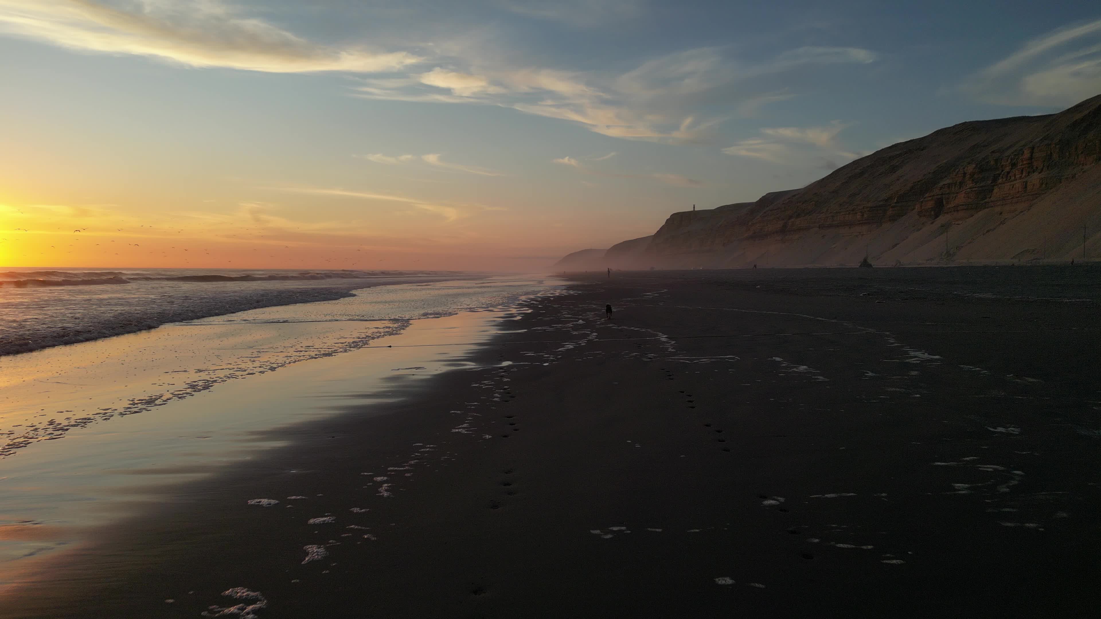 Spectacular Drone view or a dog running on the beach