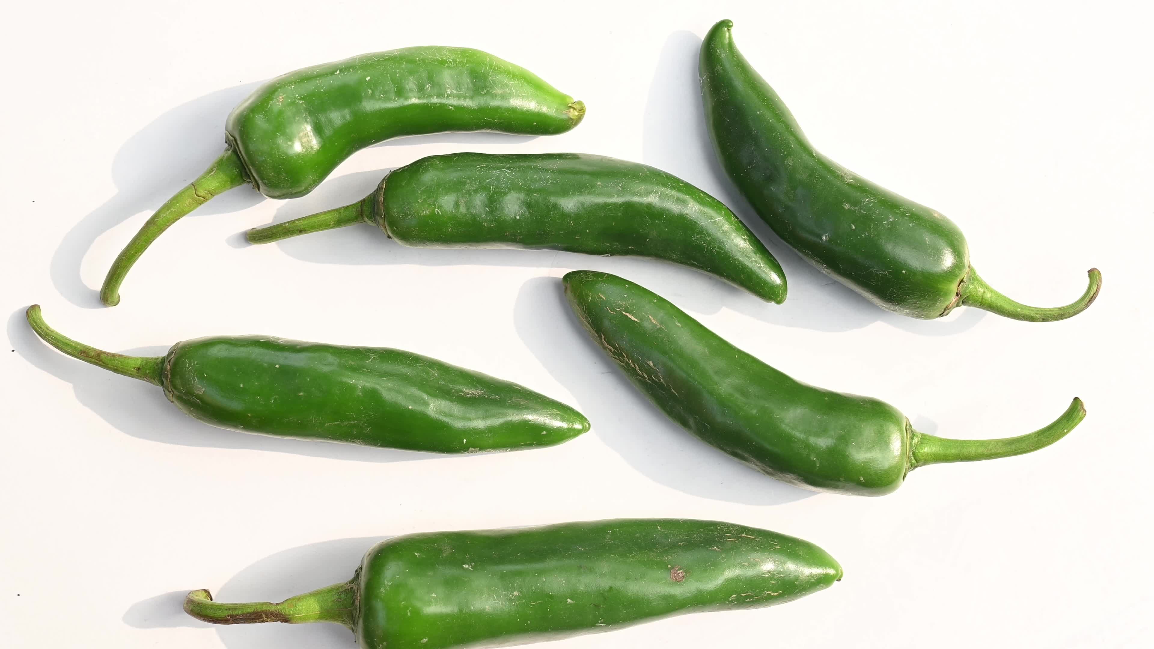 Giant Jalapeno Peppers - Chili - Spicy peppers 