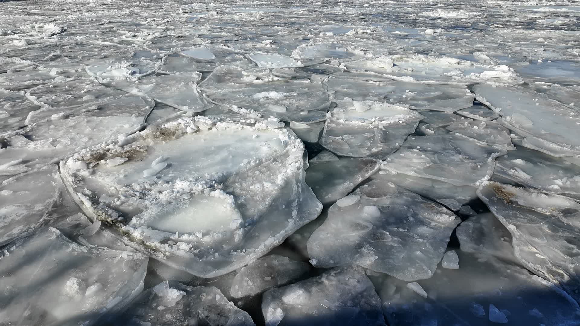 New York City Extreme Cold