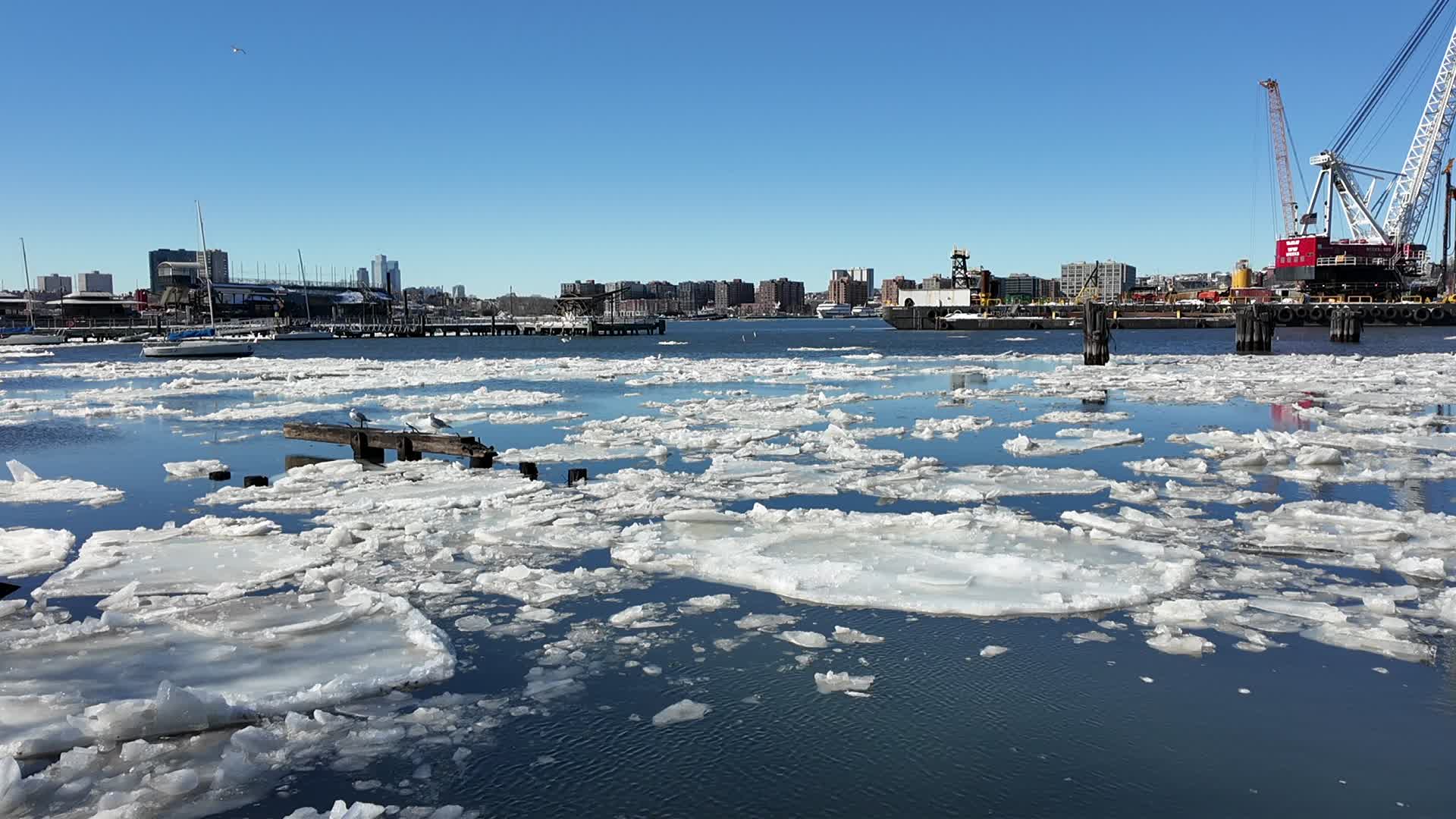 New York City Extreme Cold