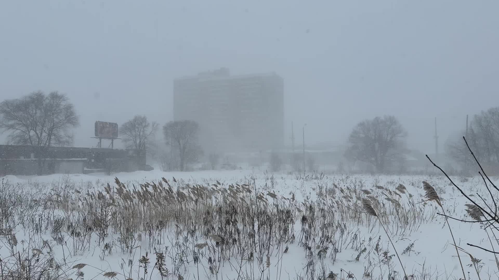 Winter Storm In Toronto, Canada