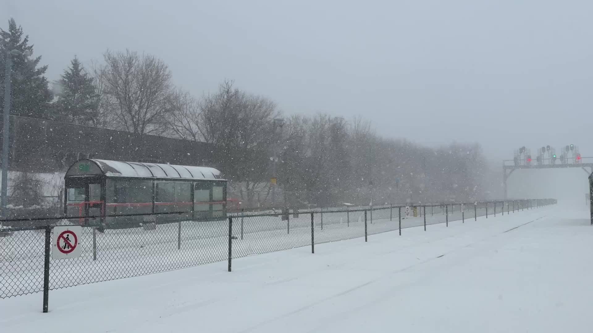 Winter Storm In Toronto, Canada