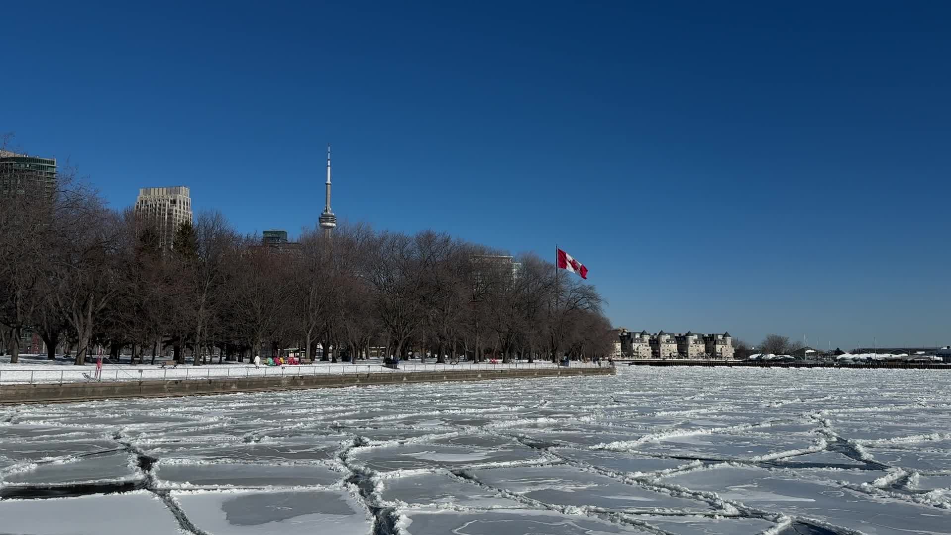 Daily Life in Toronto, Canada