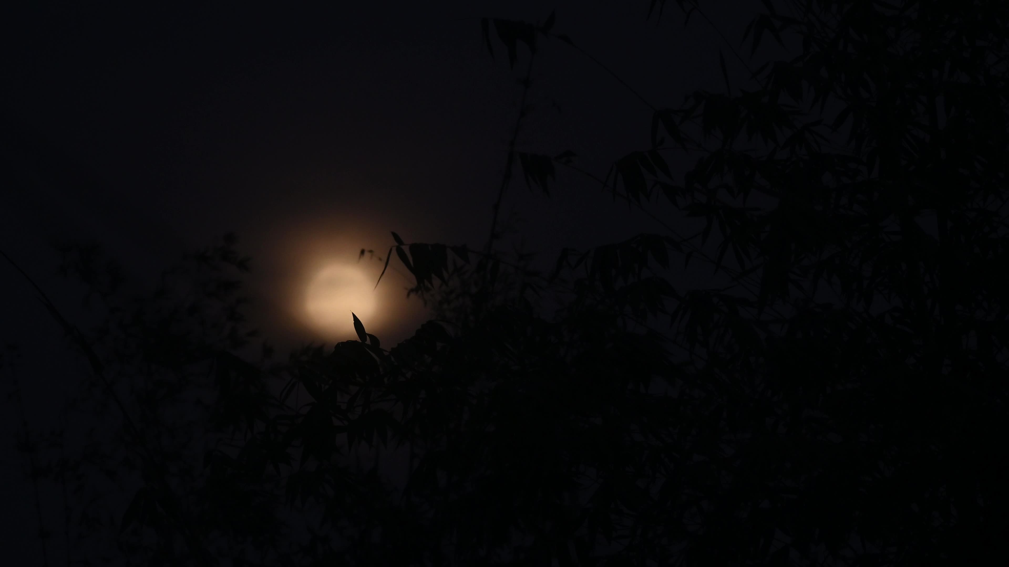 February Full Moon - Snow Moon - Hunger Moon