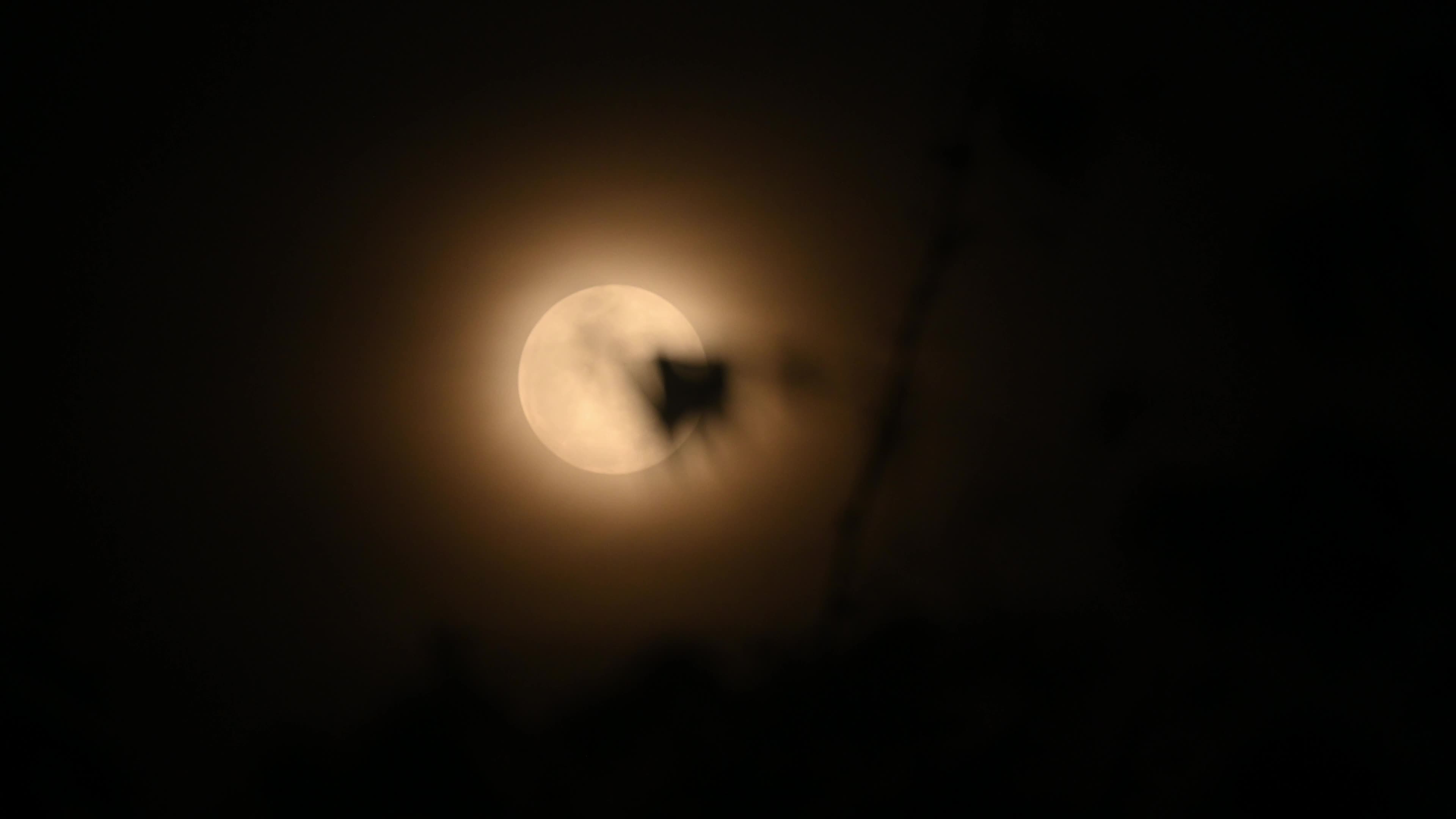 February Full Moon - Snow Moon - Hunger Moon