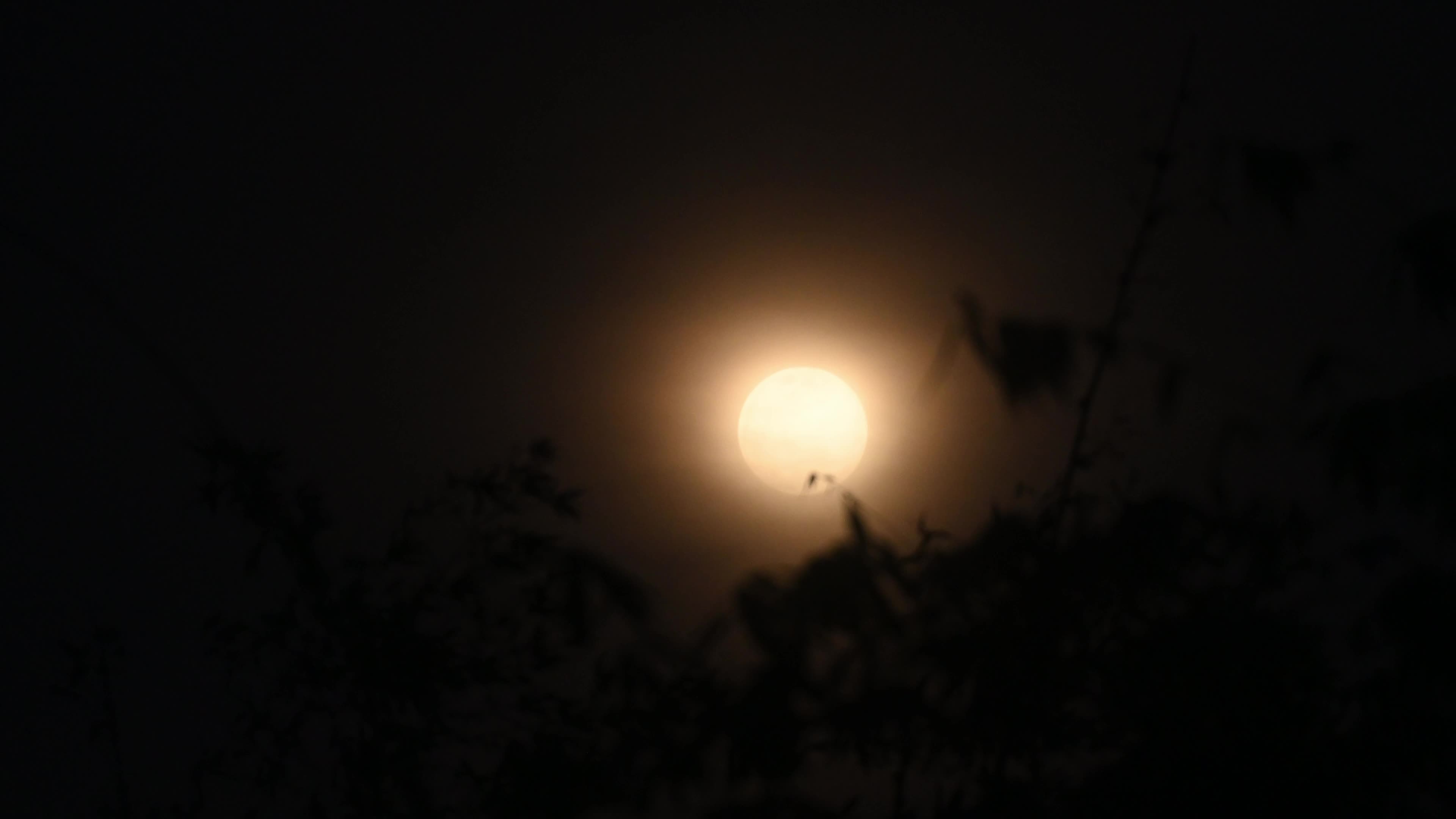 February Full Moon - Snow Moon - Hunger Moon