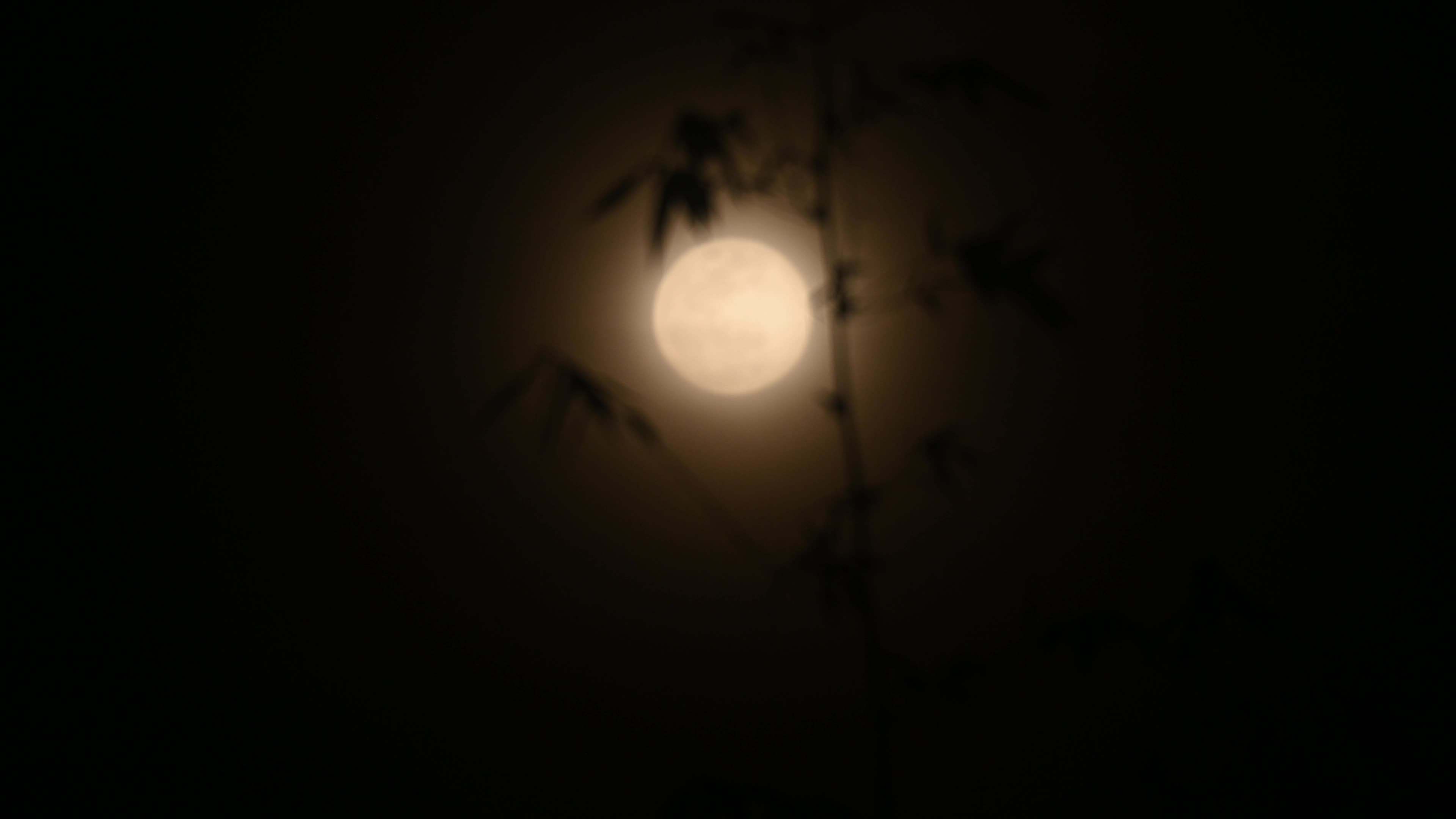February Full Moon - Snow Moon - Hunger Moon