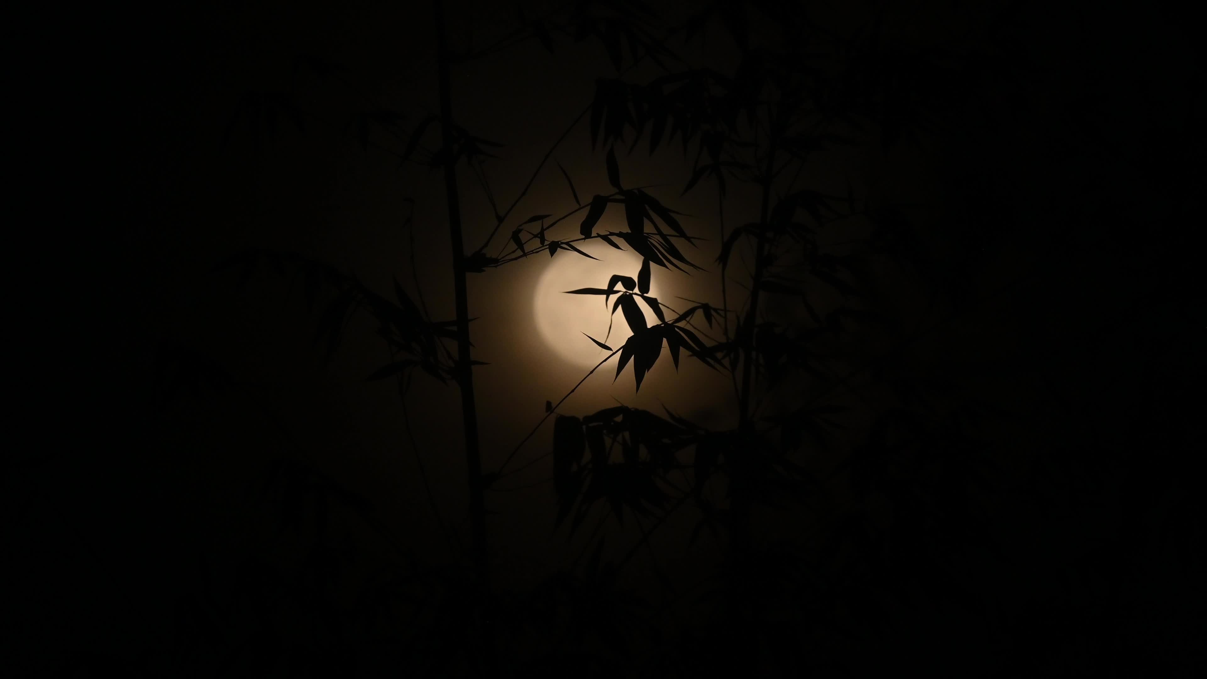 February Full Moon - Snow Moon - Hunger Moon