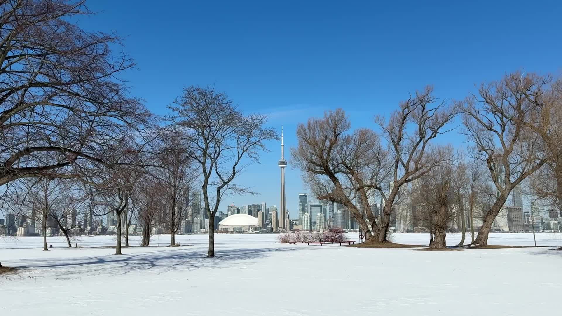 Frozen Waters Of Lake Ontario
