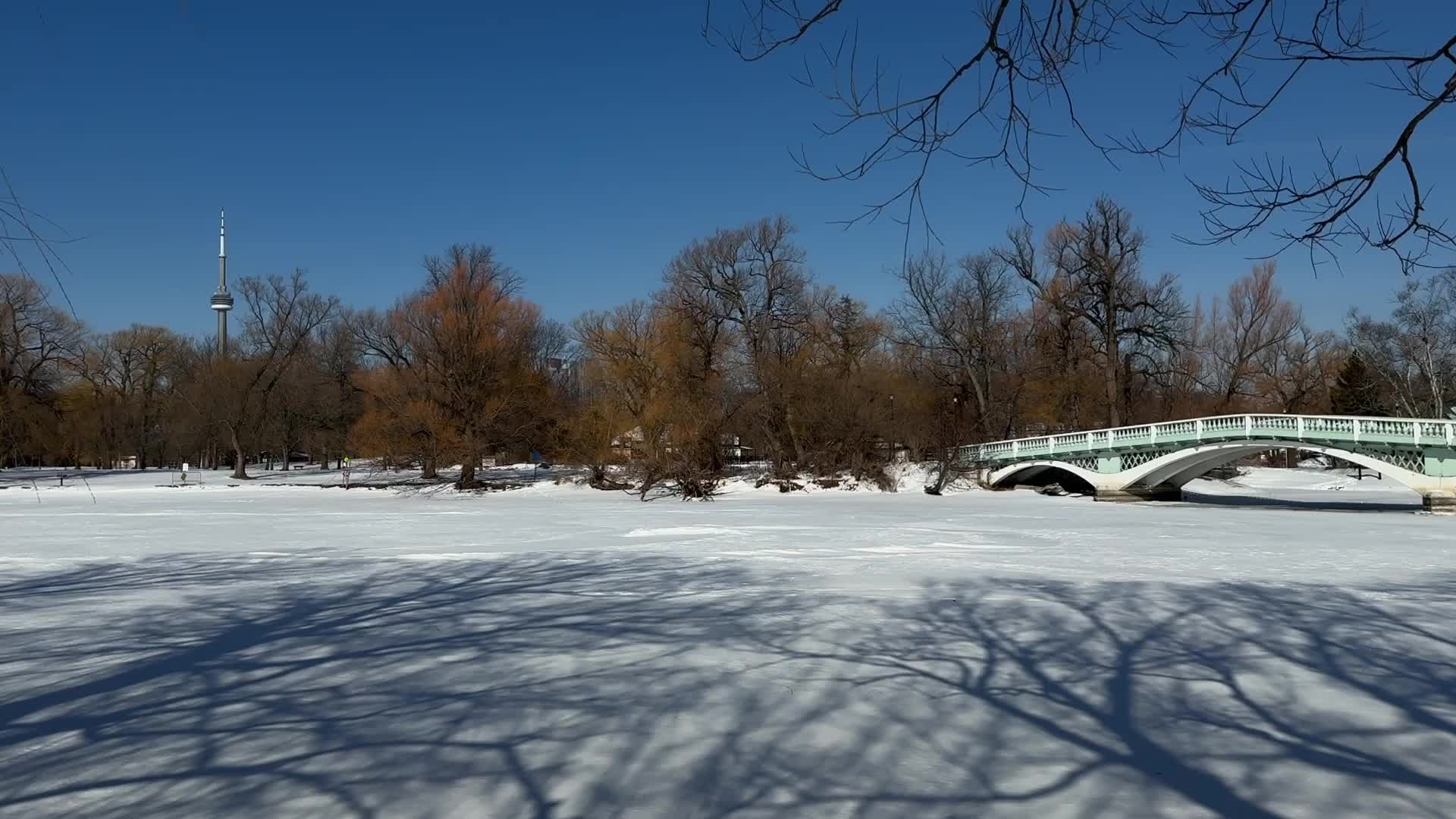 Frozen Waters Of Lake Ontario