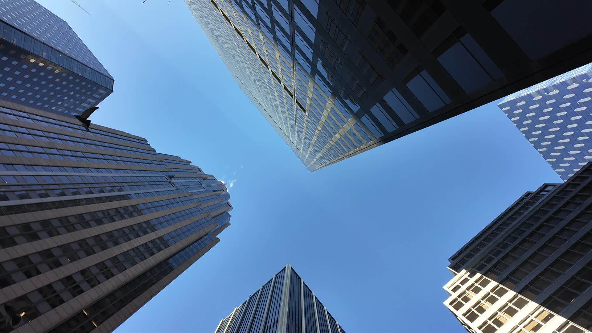 New York City Looking Up