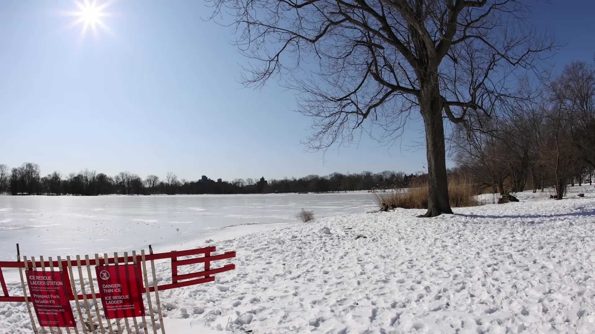 Prospect Park Lake Frozen In Brooklyn