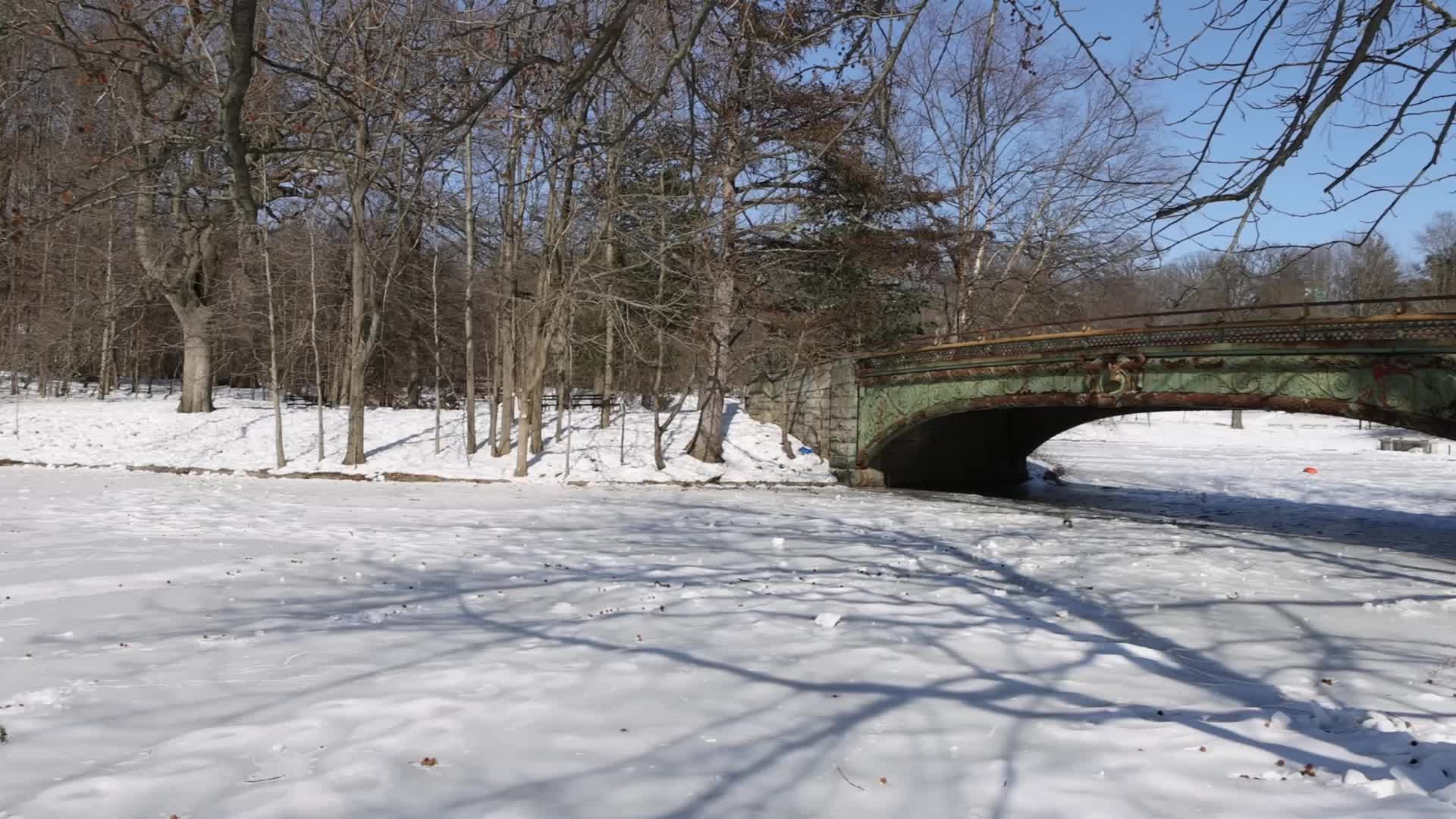 Prospect Park Lake Frozen In Brooklyn