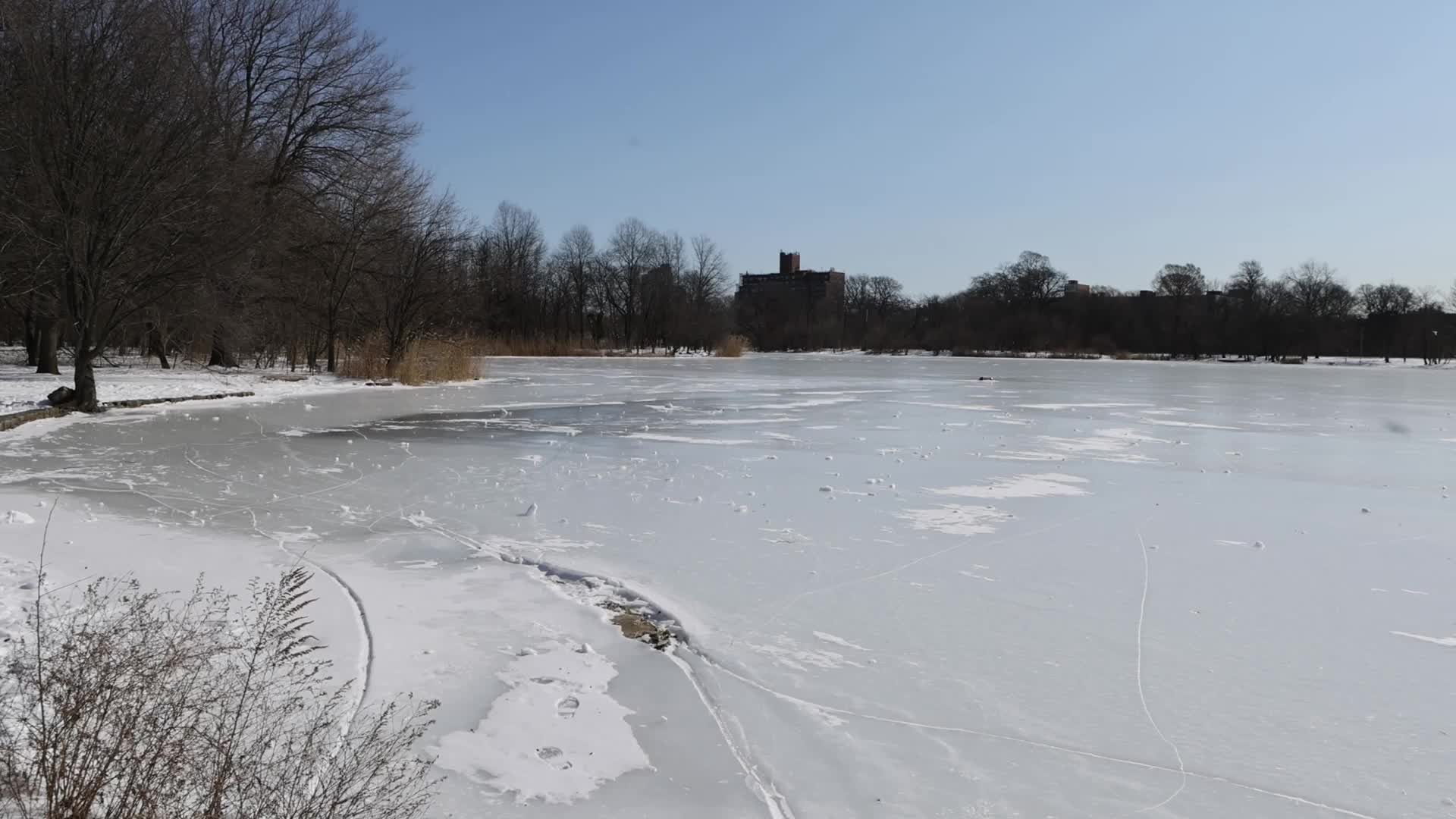 Prospect Park Lake Frozen In Brooklyn