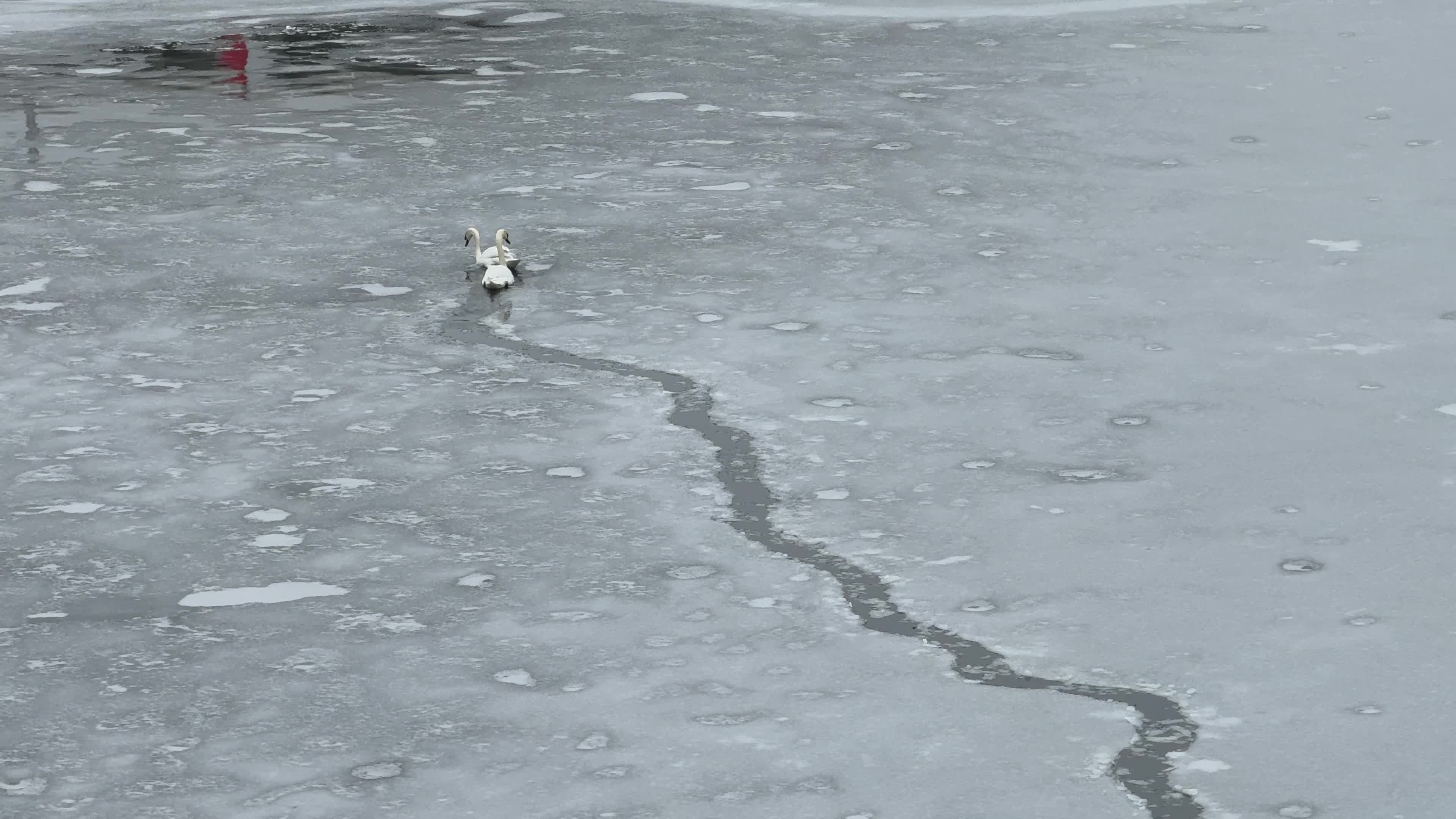 Cold Weather in Berlin