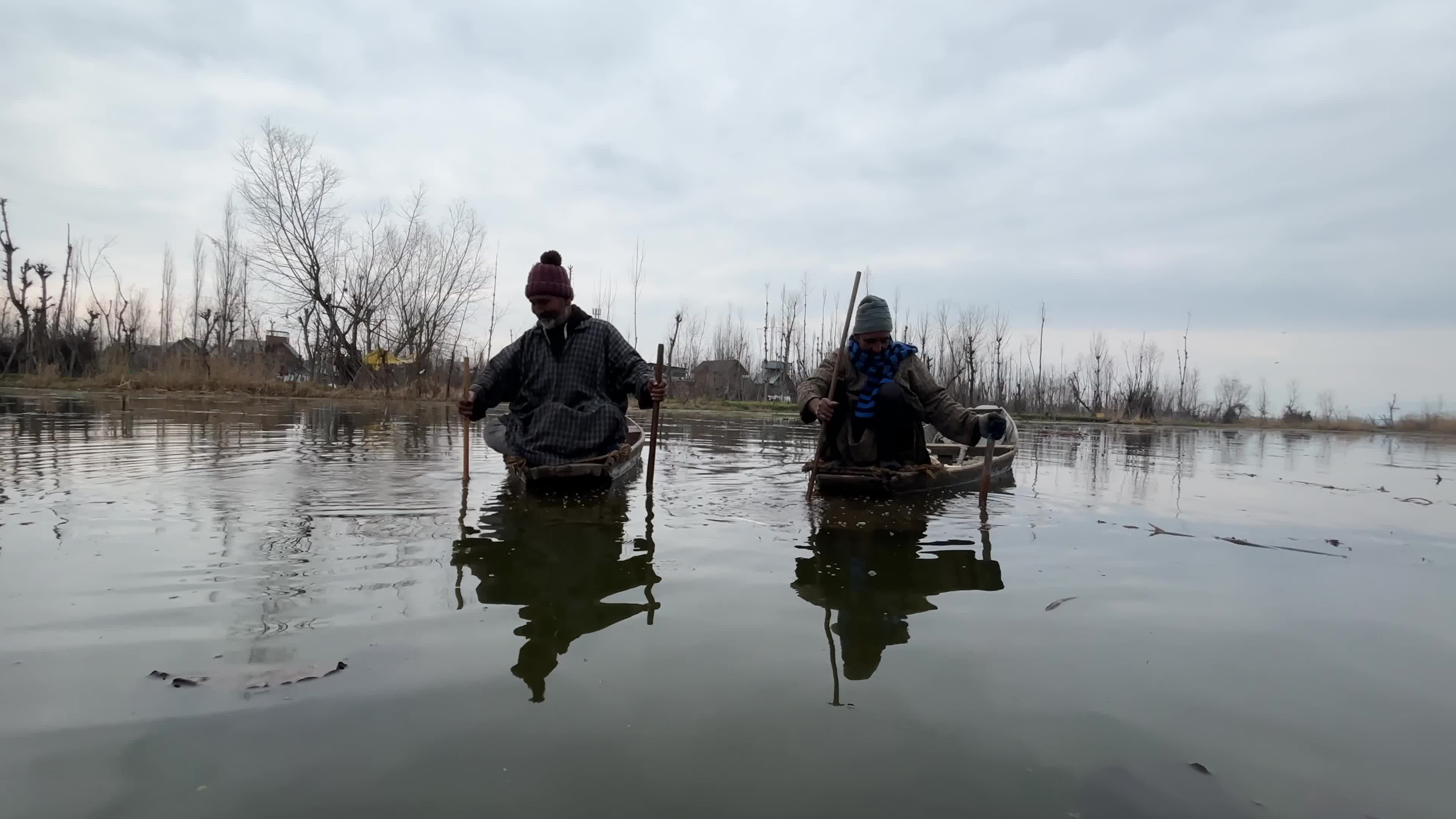 Kashmir's Seasonal Lotus Stem Harvest 