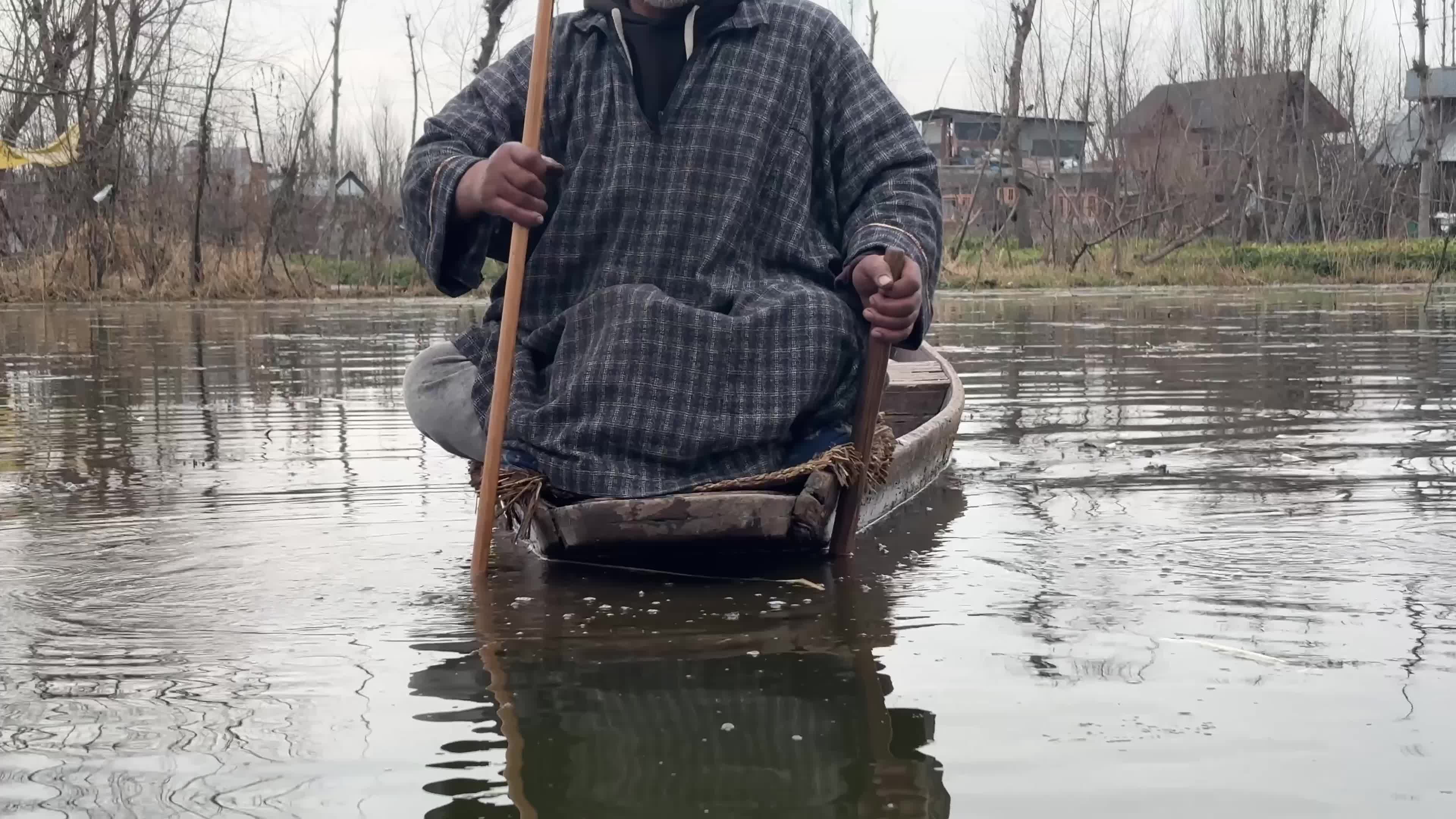 Kashmir's Seasonal Lotus Stem Harvest 