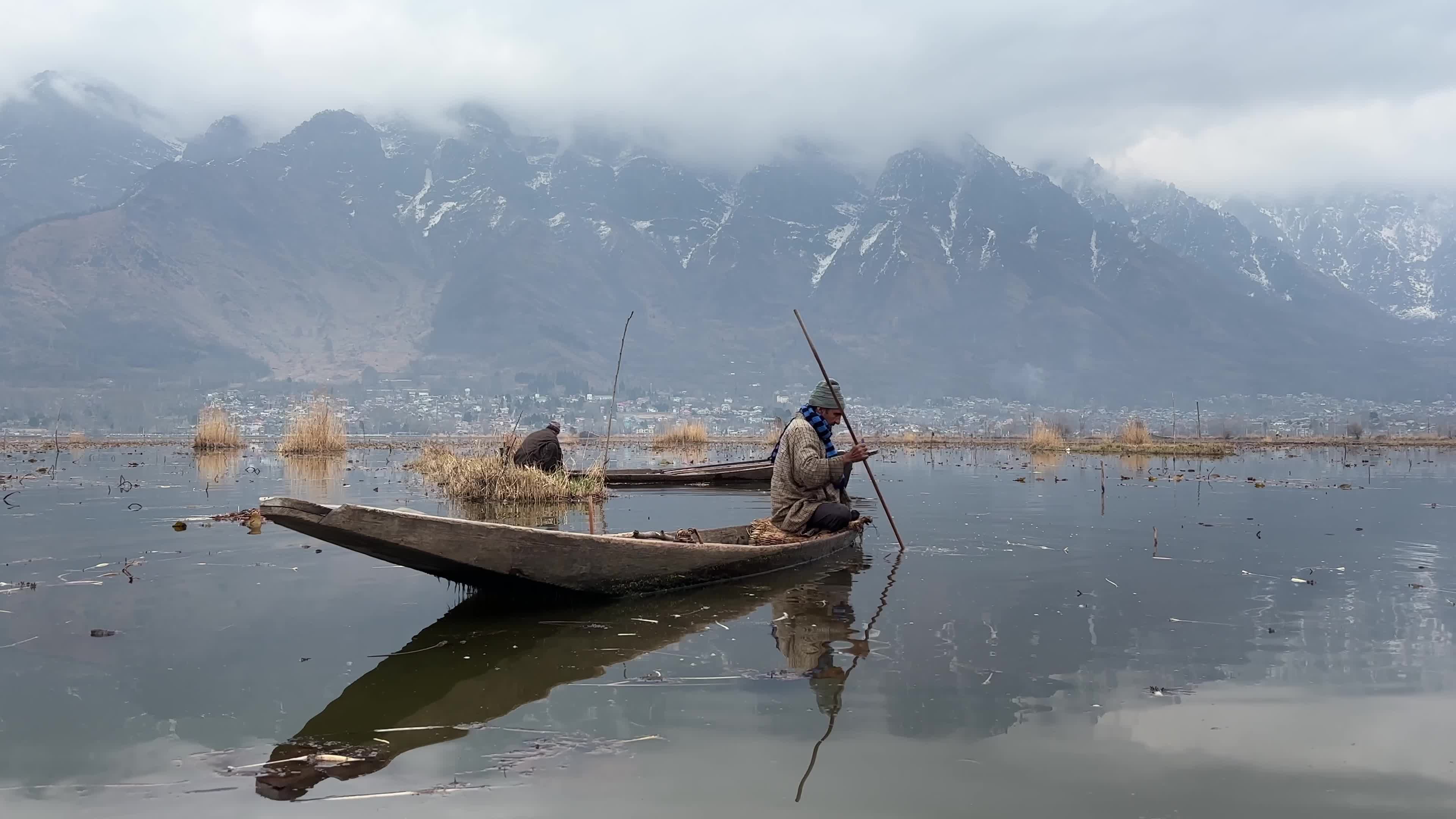 Kashmir's Seasonal Lotus Stem Harvest 