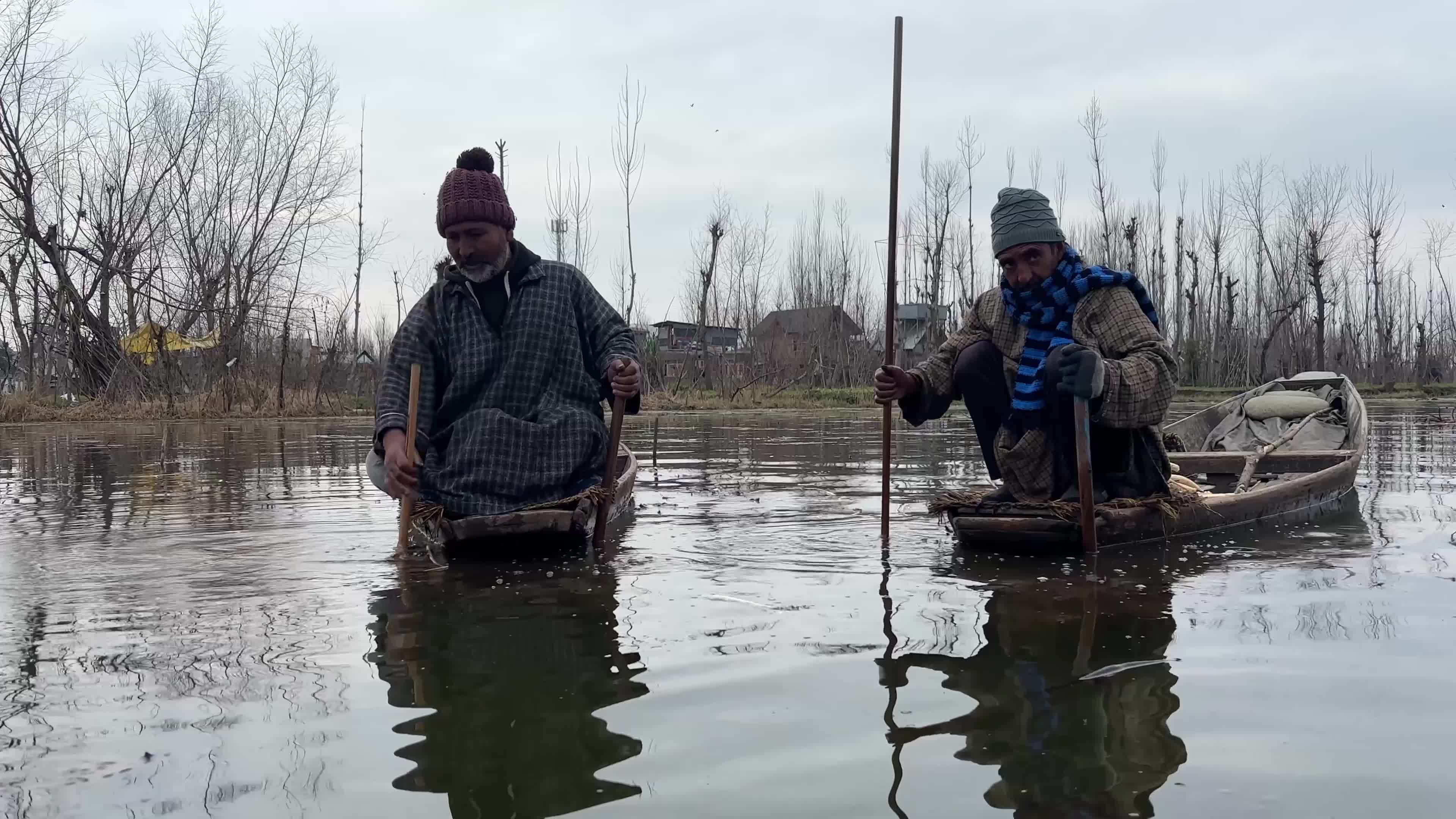 Kashmir's Seasonal Lotus Stem Harvest 