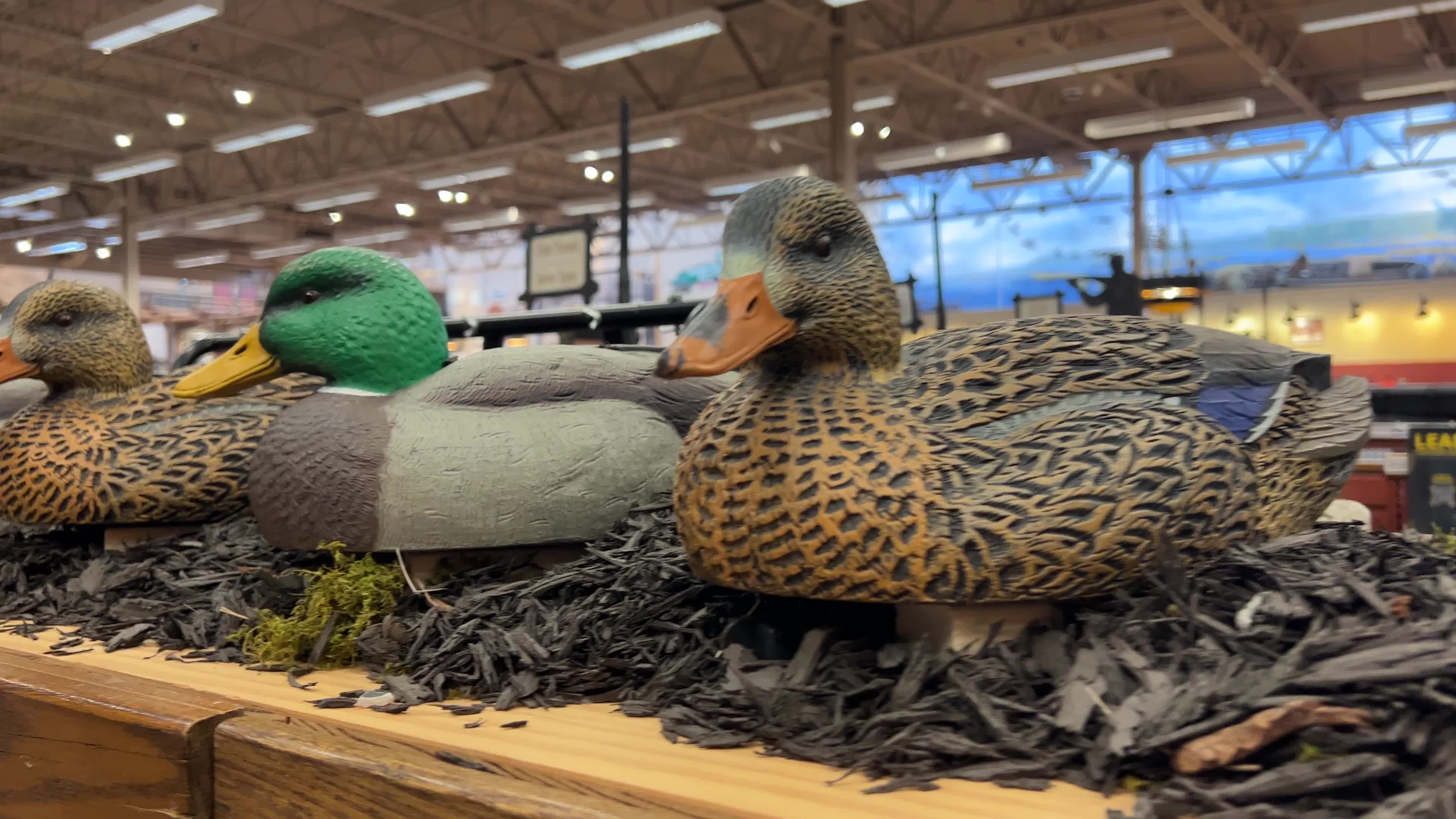 Hunting in Canada
