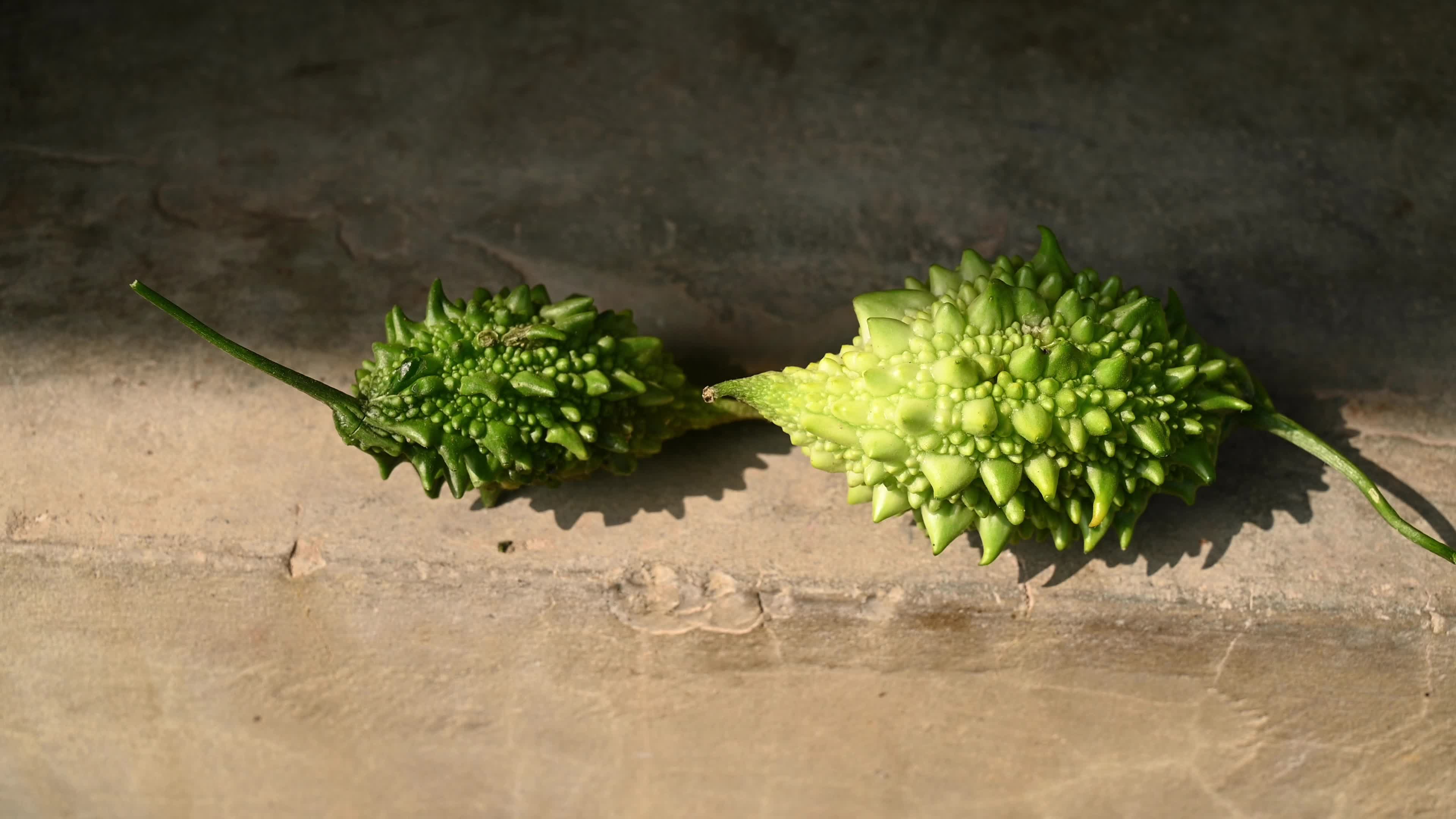 Bitter gourd (Momordica charantia) - Vegetables Of India
