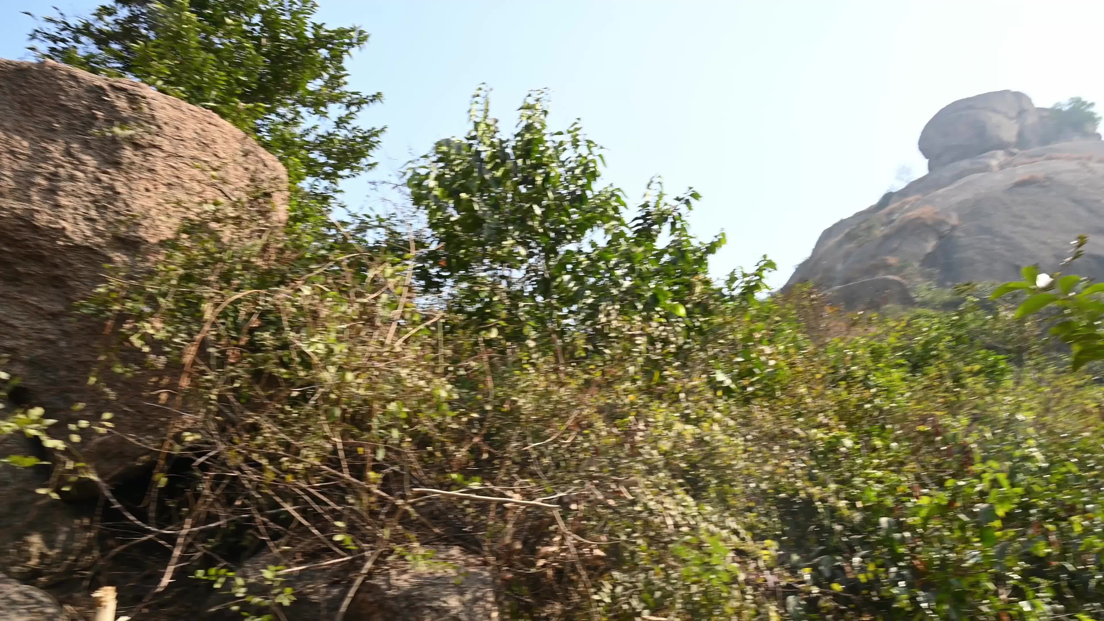 Joychandi Pahar - Indian Independence Movement - Dormant Volcano