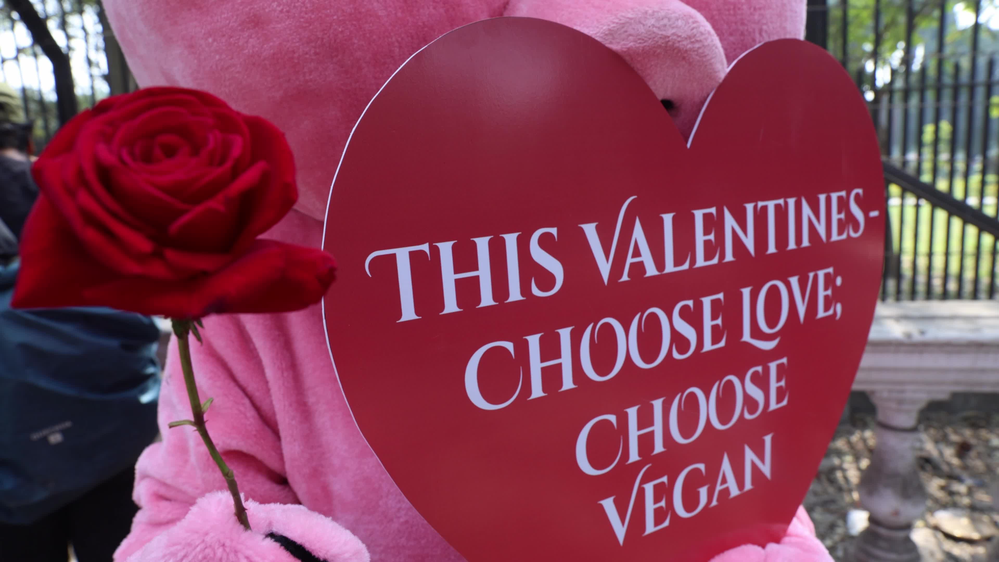 Vegan Rally In Kolkata, India Ahead Of Valentine's Day