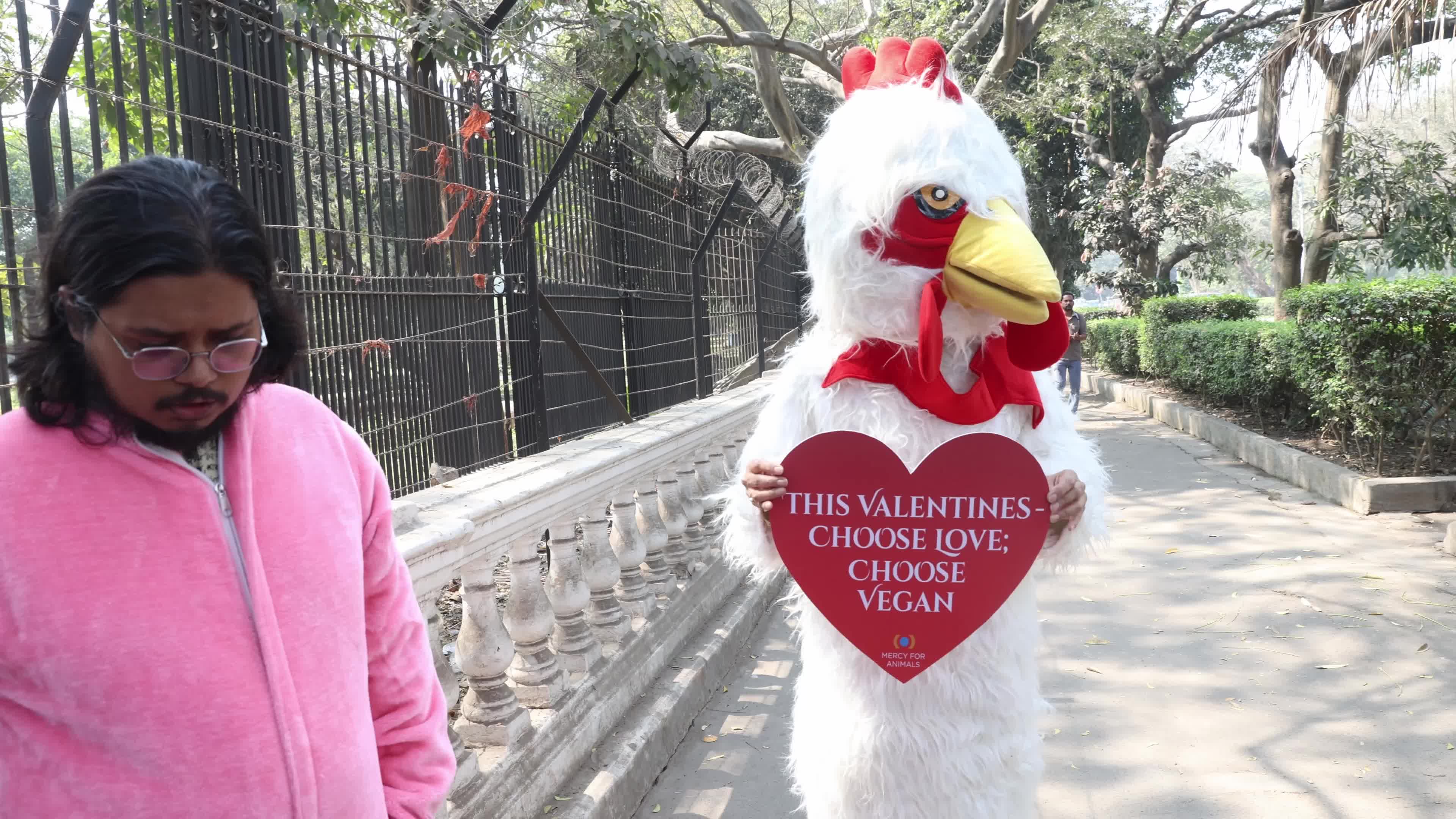 Vegan Rally In Kolkata, India Ahead Of Valentine's Day