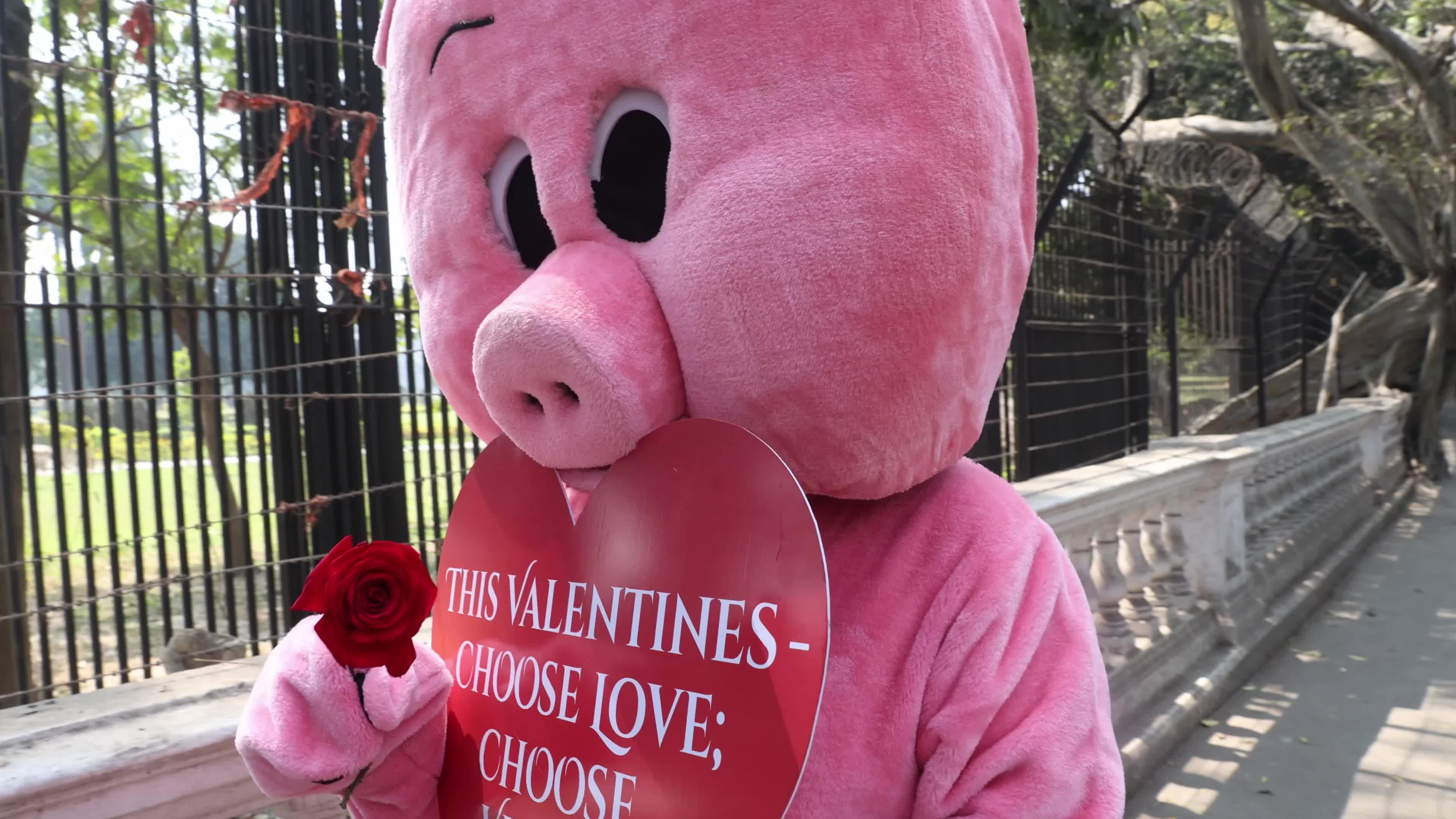 Vegan Rally In Kolkata, India Ahead Of Valentine's Day