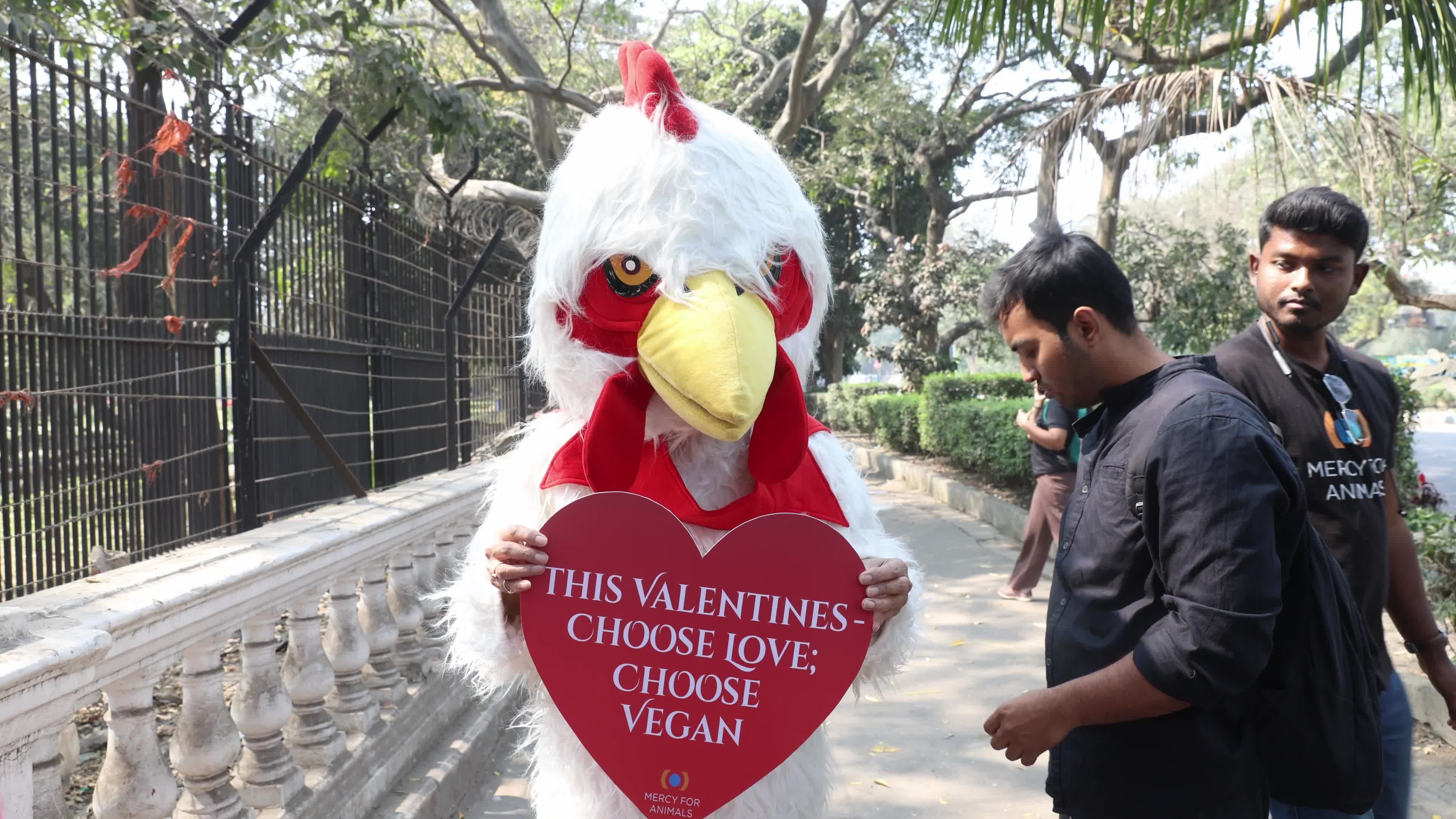 Vegan Rally In Kolkata, India Ahead Of Valentine's Day