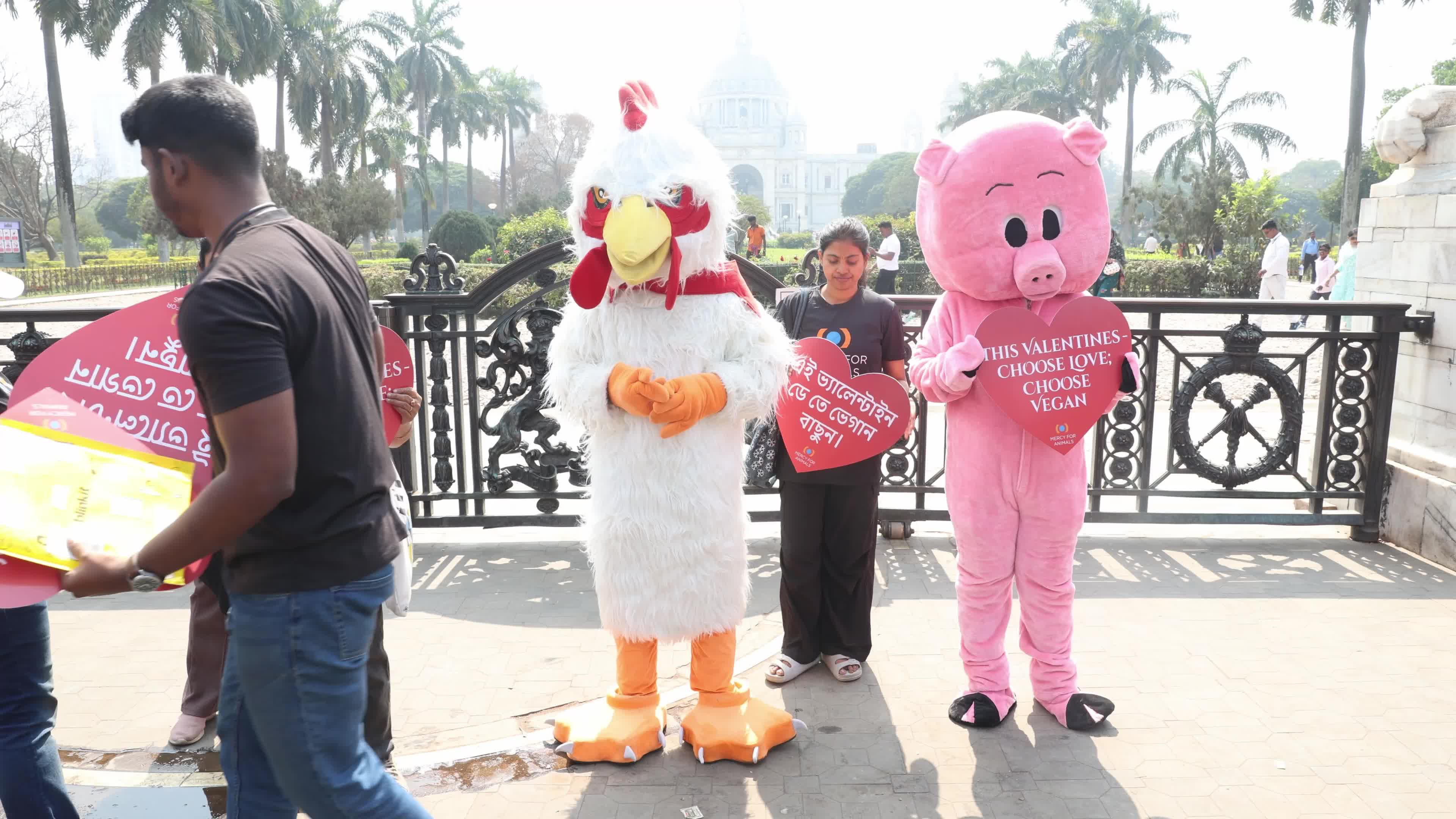 Vegan Rally In Kolkata, India Ahead Of Valentine's Day