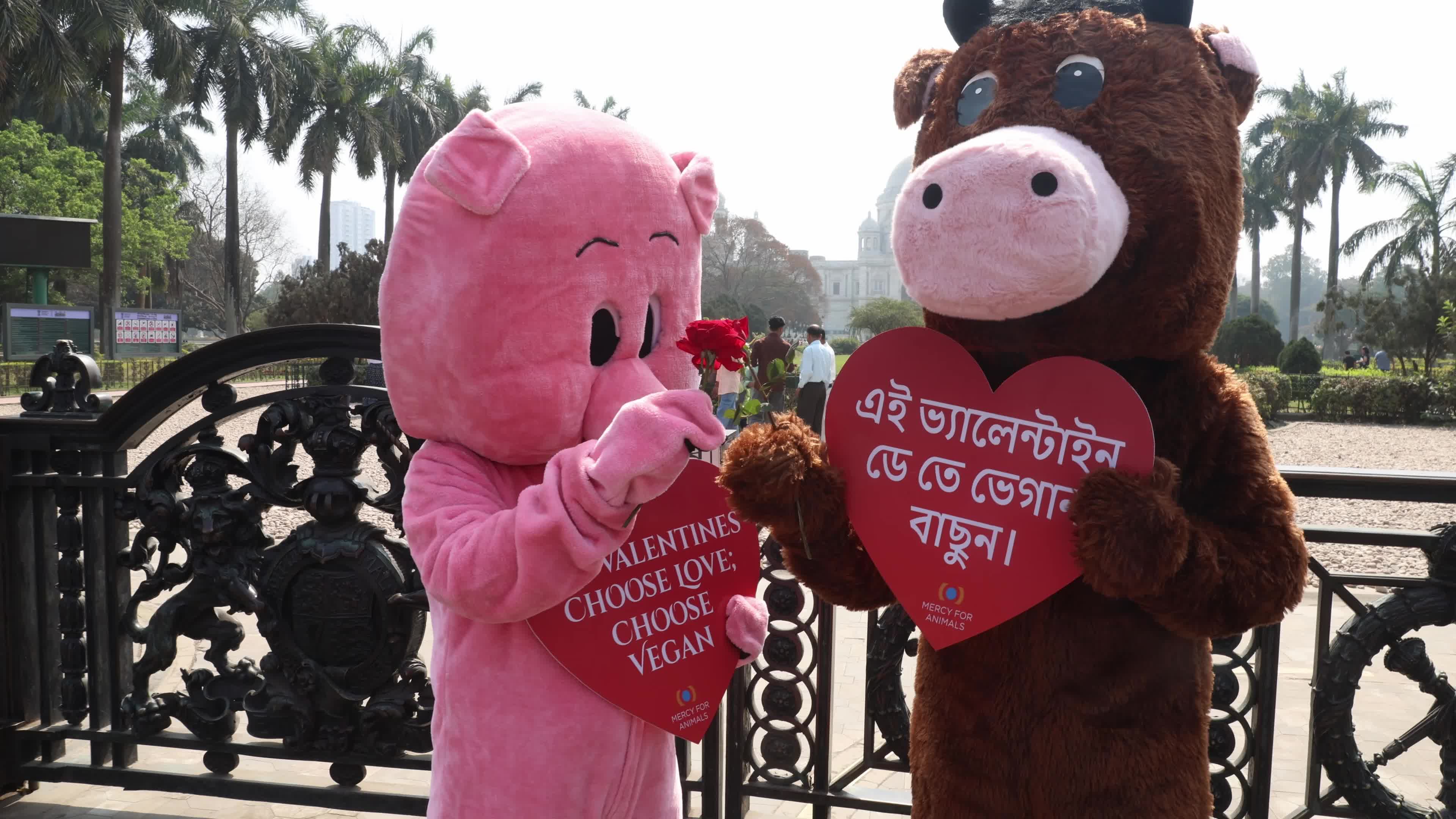 Vegan Rally In Kolkata, India Ahead Of Valentine's Day
