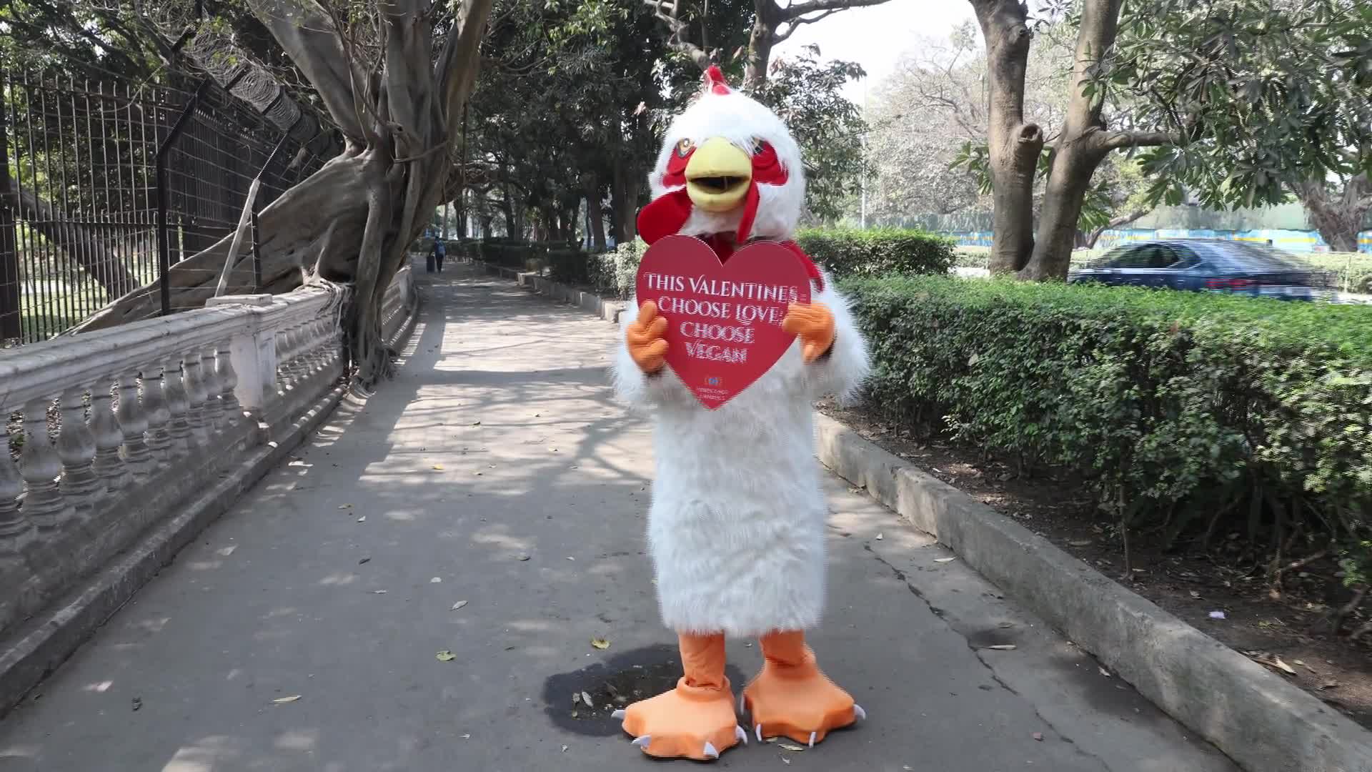 Video: Rally Vegano a Kolkata, India, in Vista di San Valentino - 13/02/2026