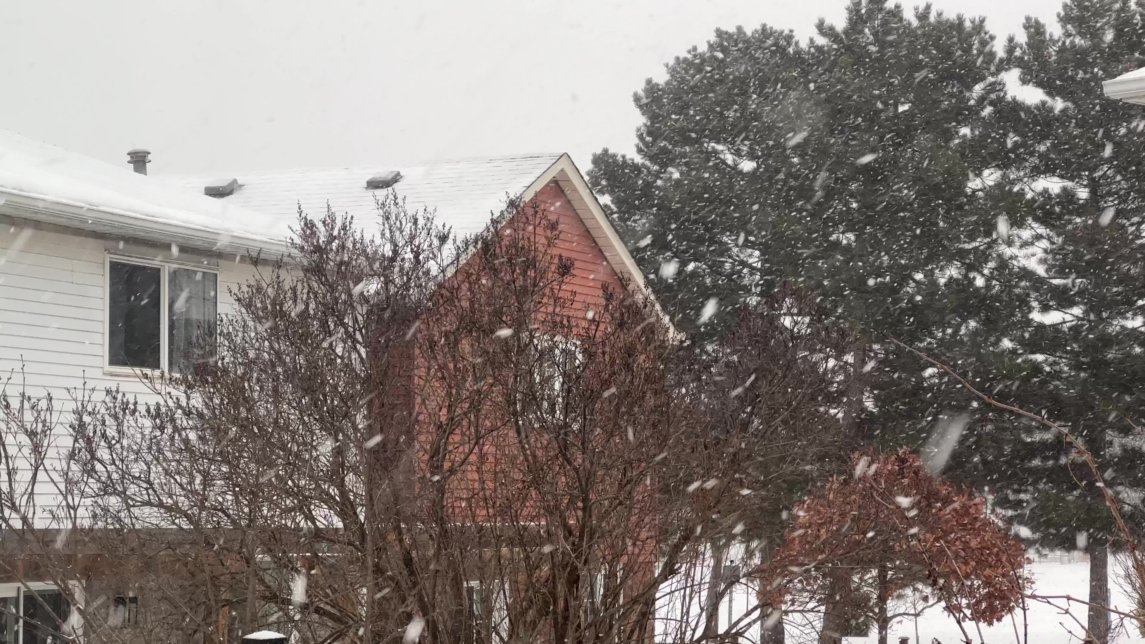 Messy mix of Winter weather arrives in Toronto