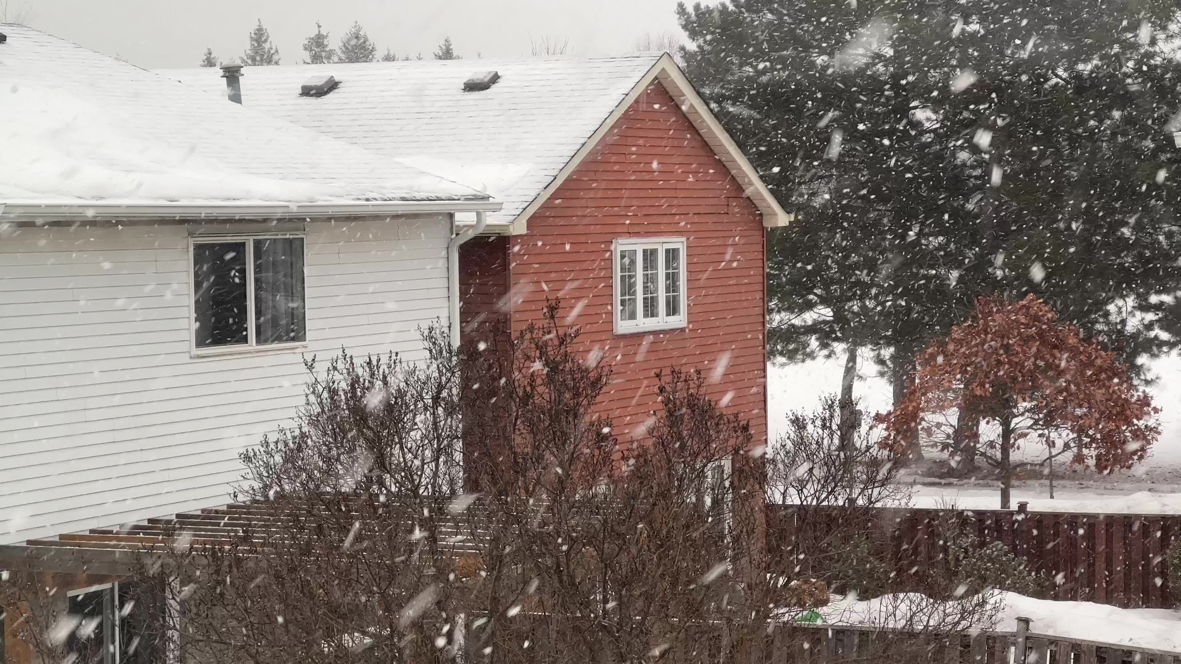 Messy mix of Winter weather arrives in Toronto