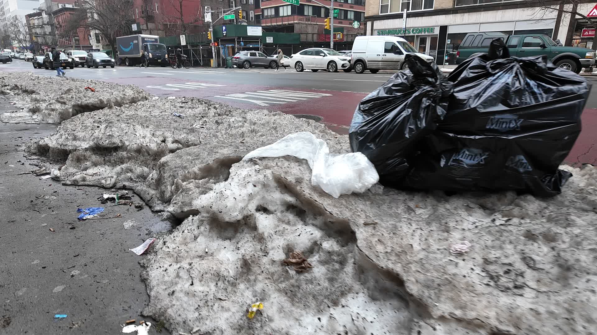 New York City Black Snow