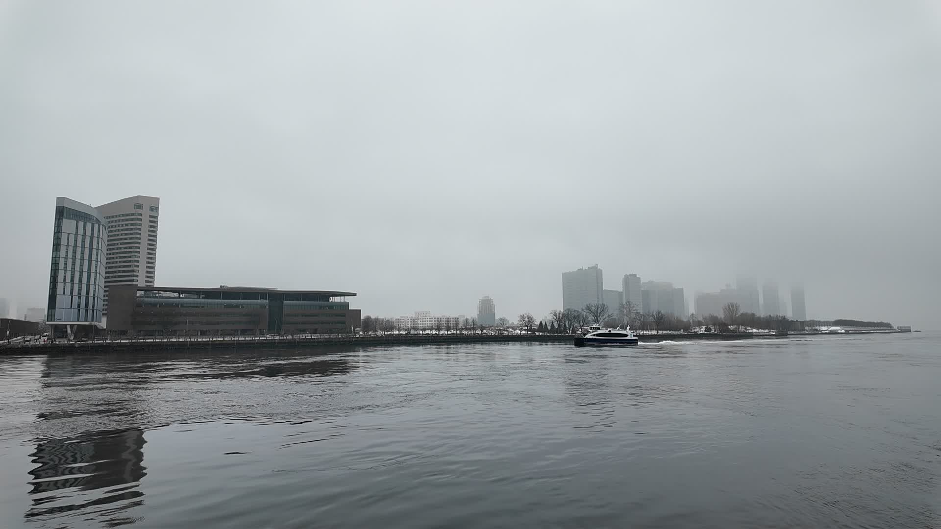 New York City Cold