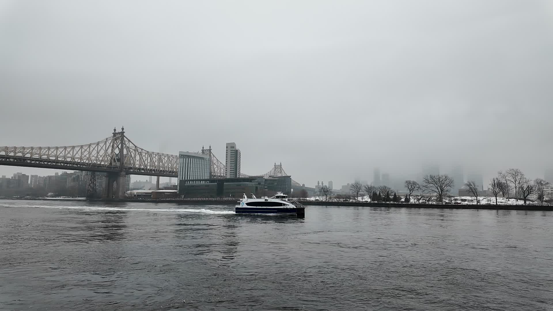 New York City Cold