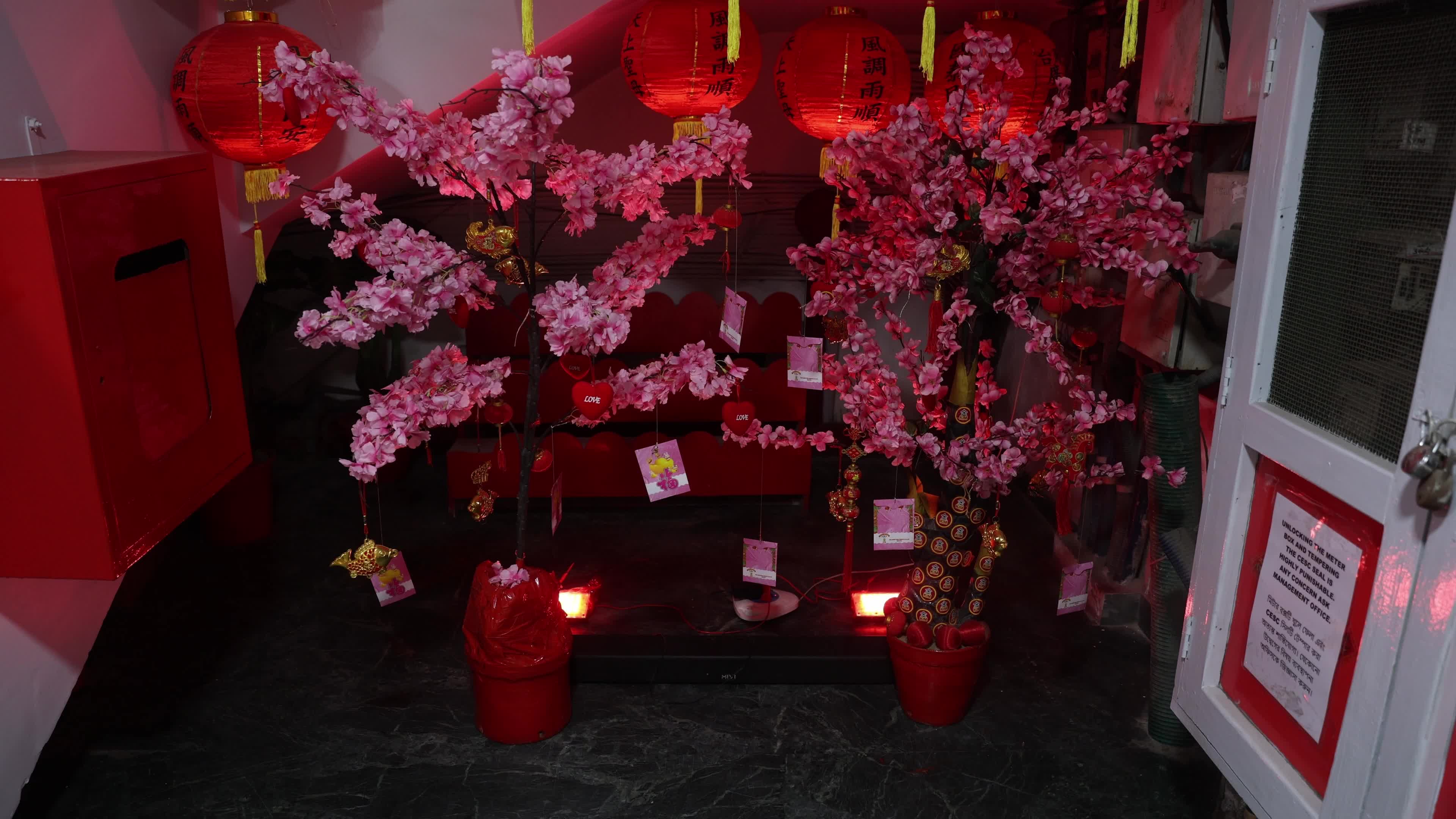 Chinese New Year Celebration In Kolkata, India