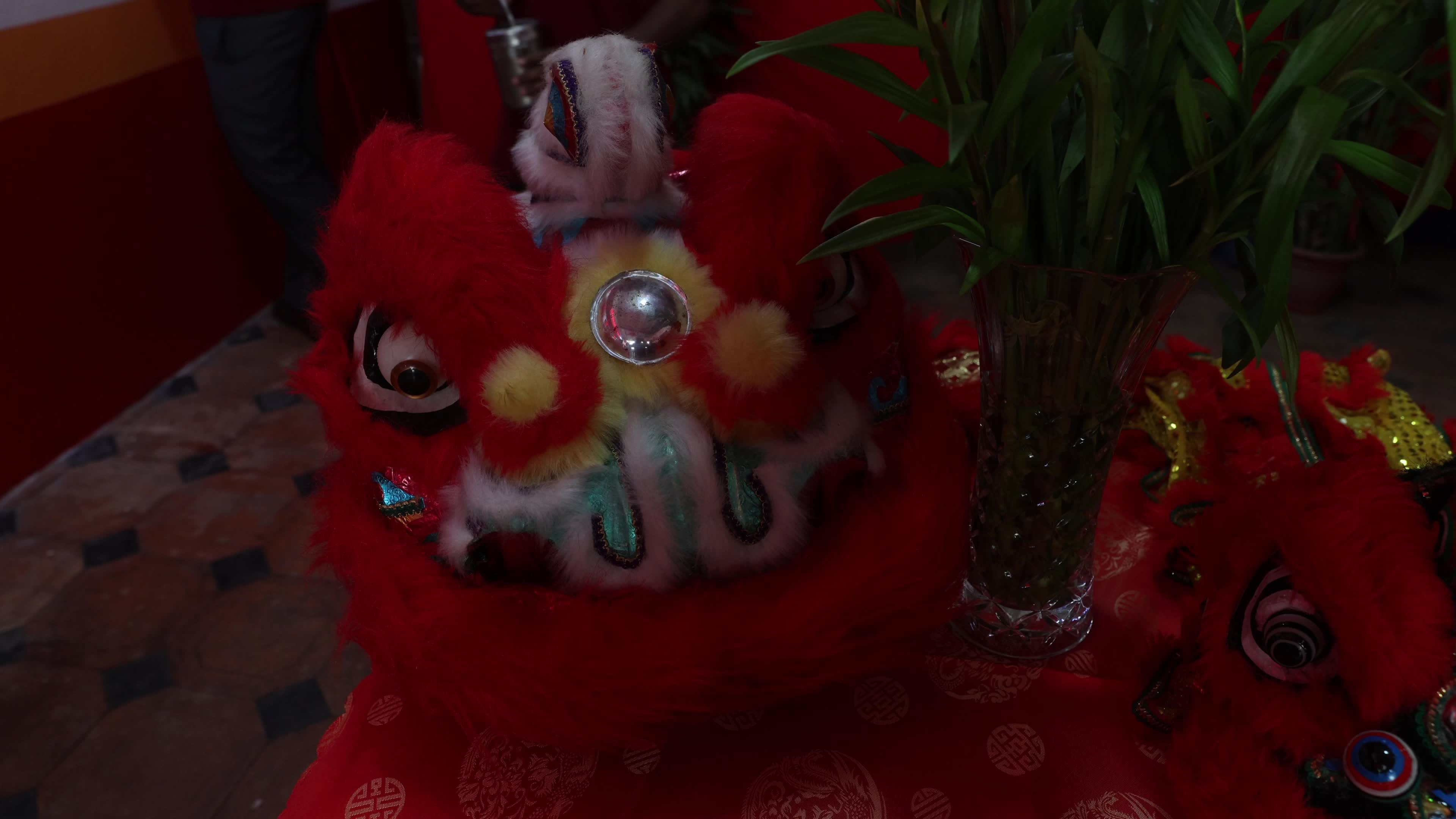 Chinese New Year Celebration In Kolkata, India