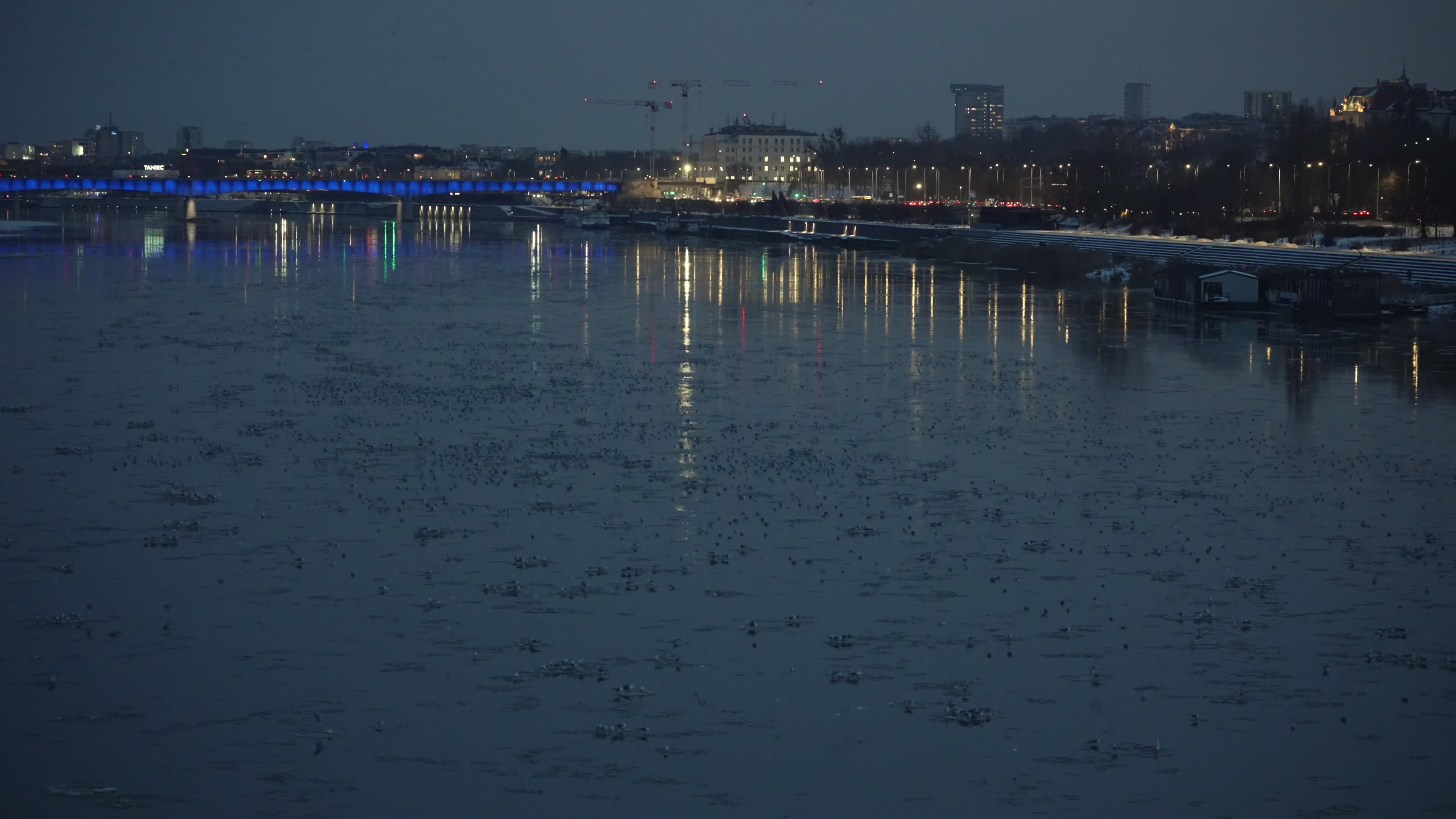 Thousands of seagulls gather on "ice pancakes" on Vistula river