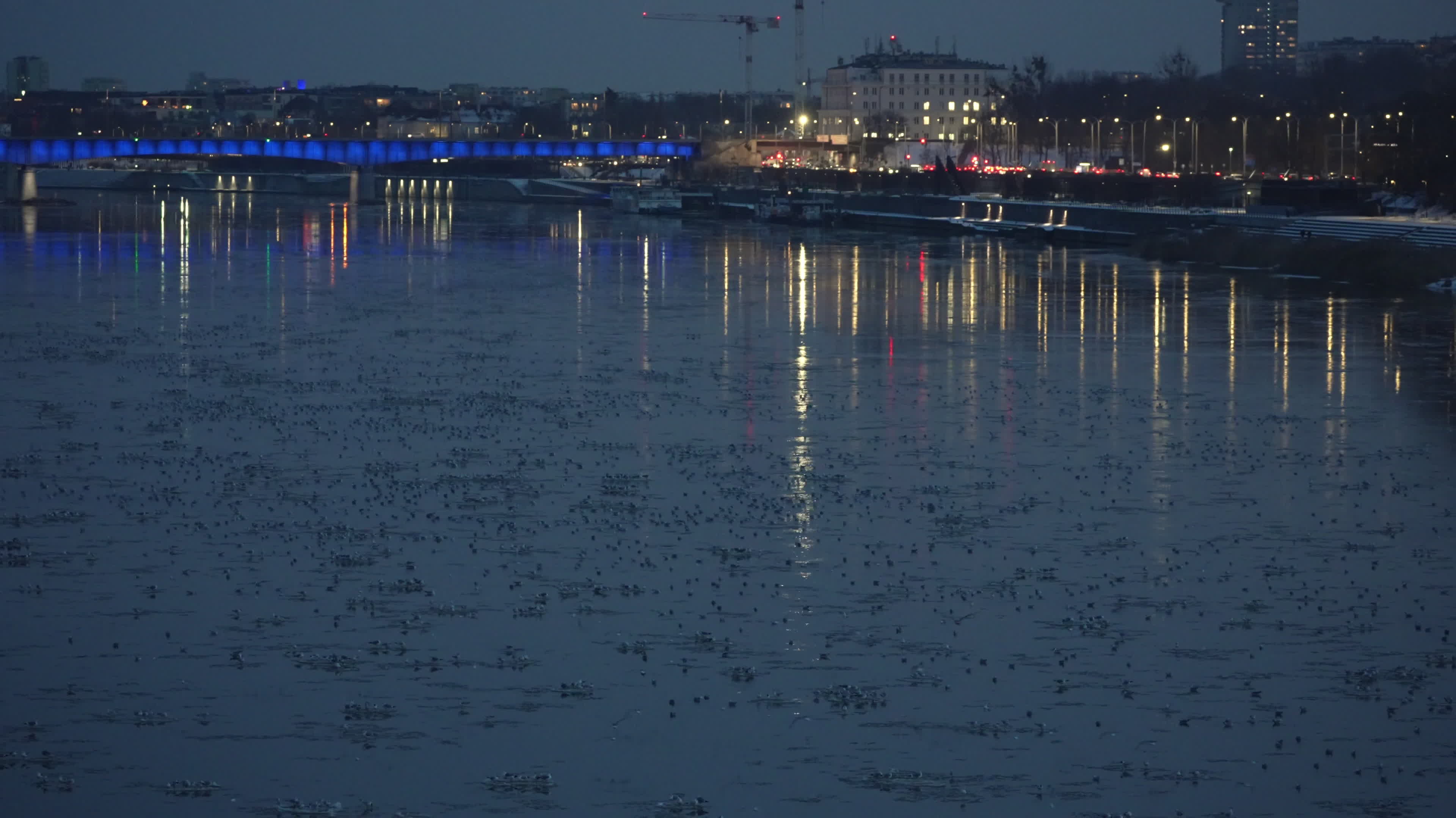 Thousands of seagulls gather on "ice pancakes" on Vistula river